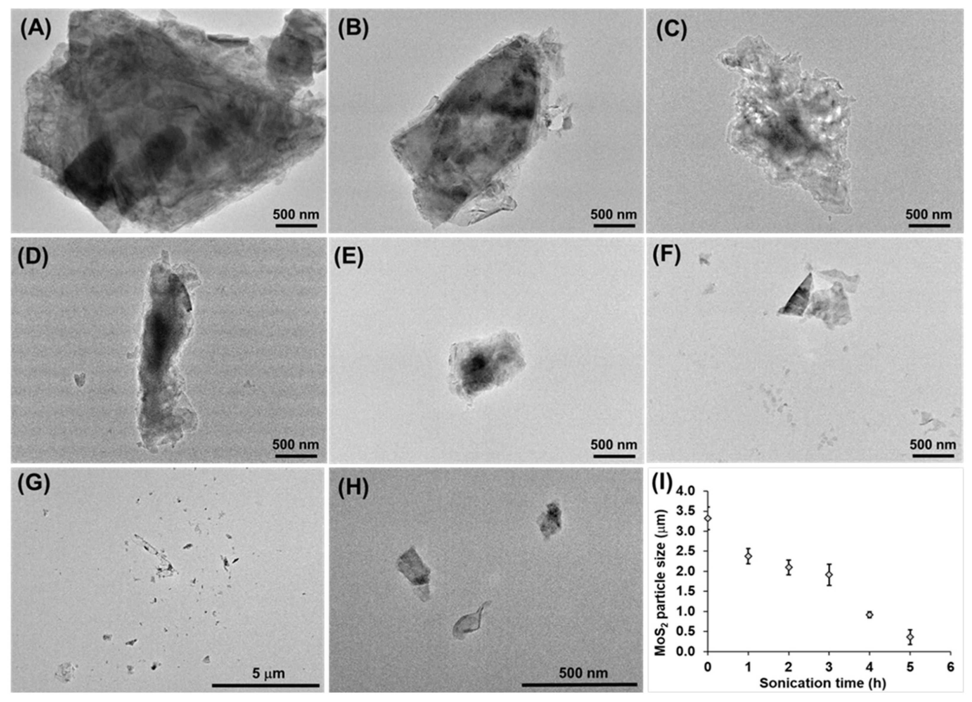 Molecules 30 00497 g004