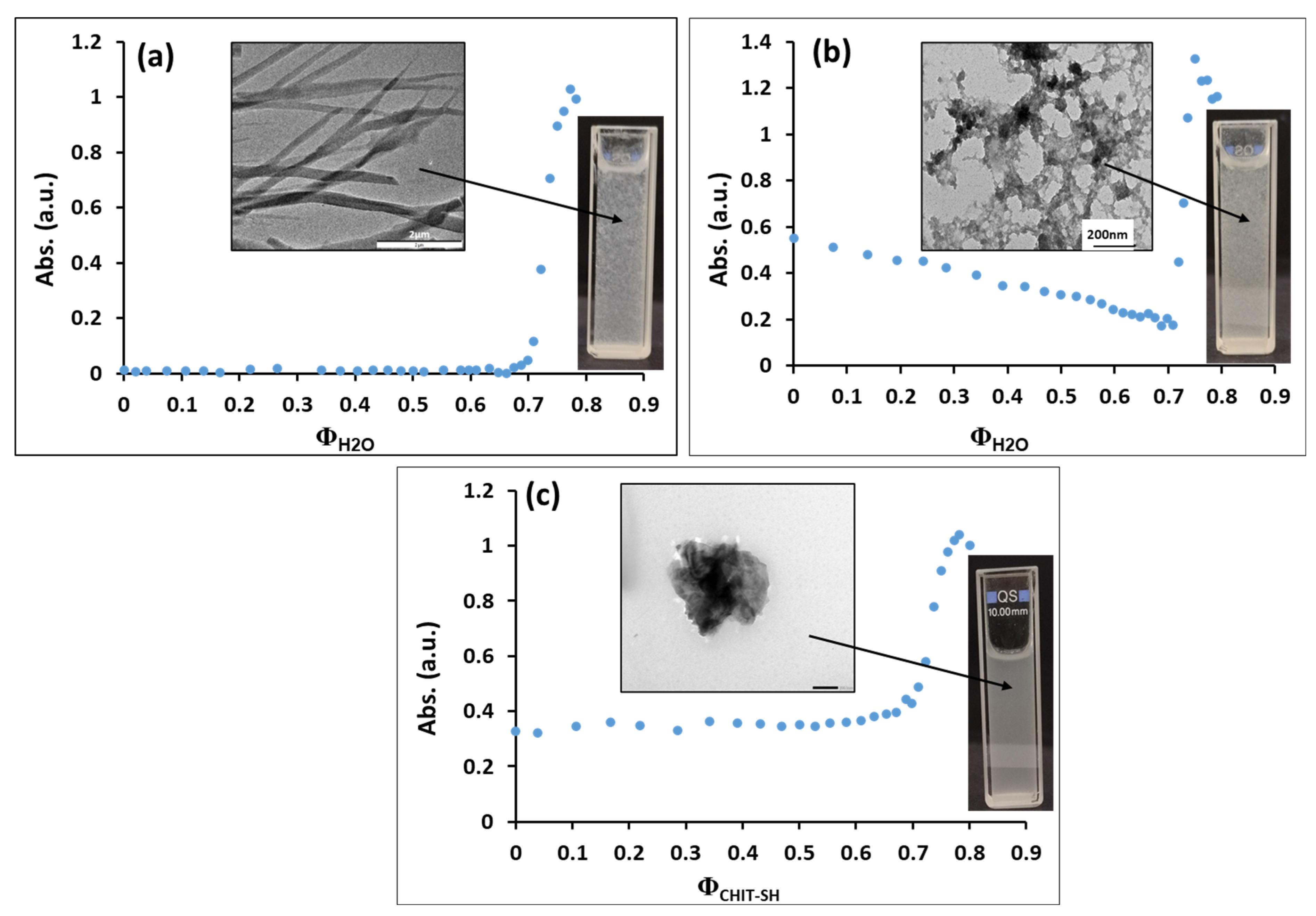 Molecules 30 00497 g005