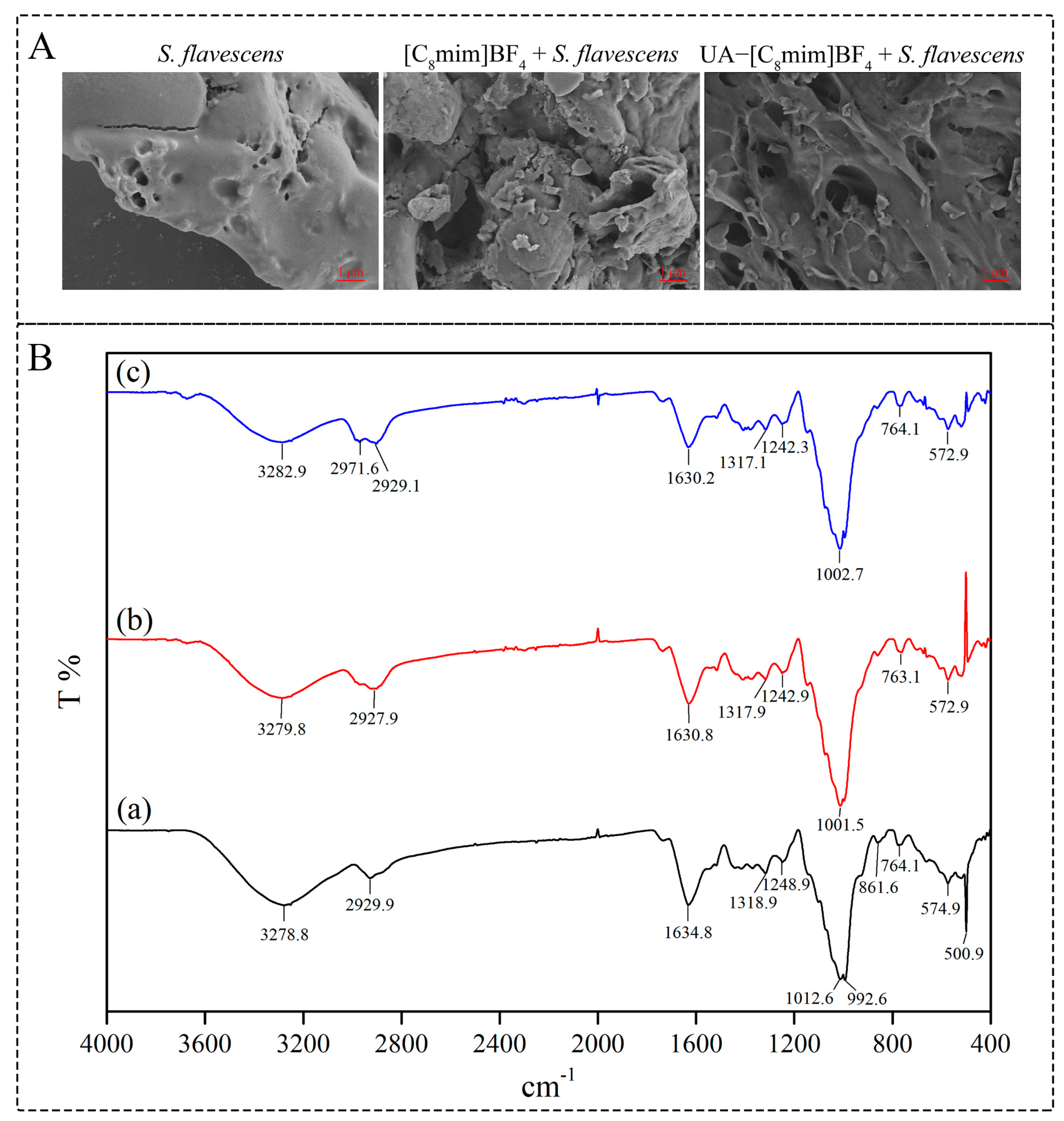 Molecules 30 00500 g005
