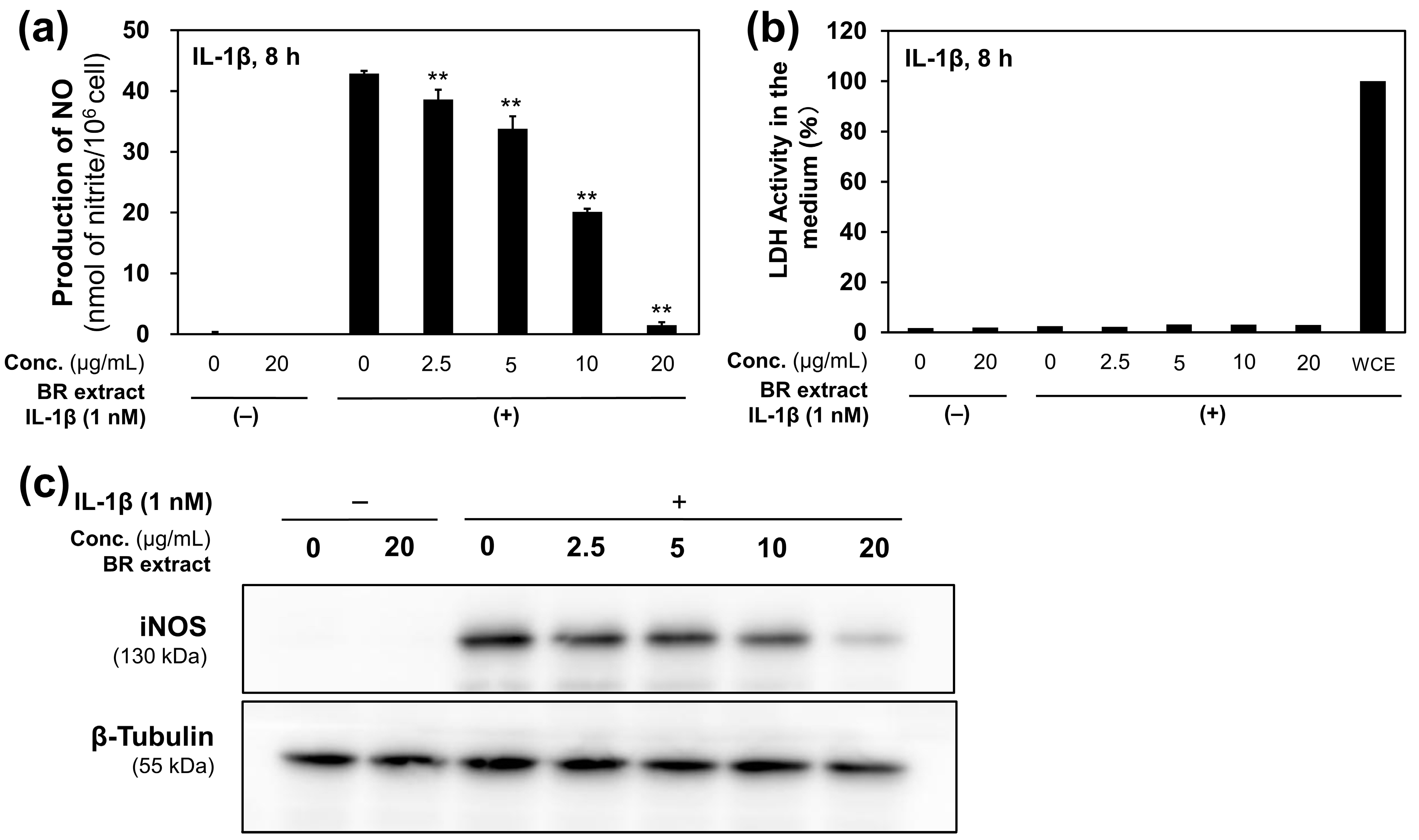 Molecules 30 00501 g001