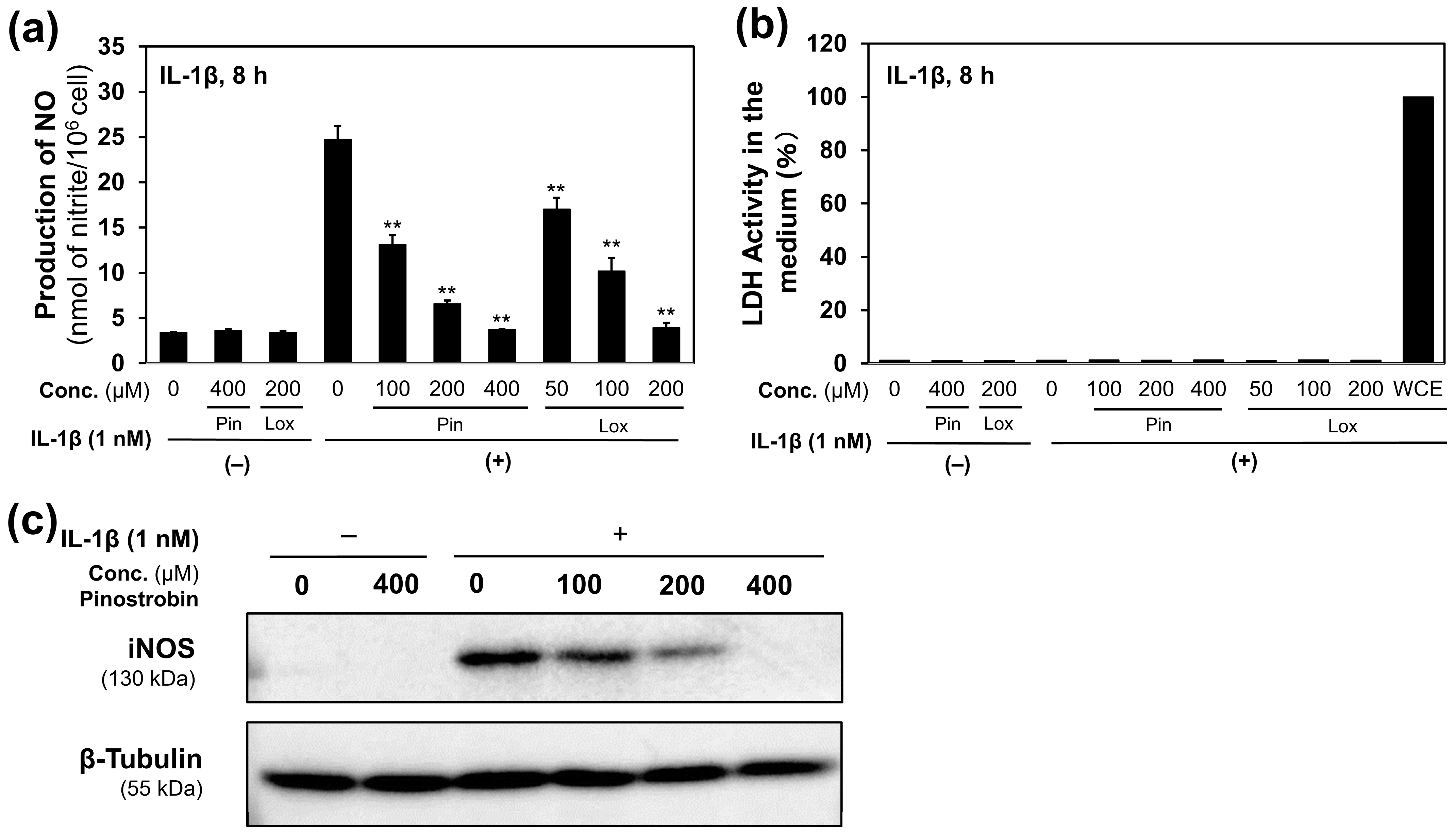 Molecules 30 00501 g003