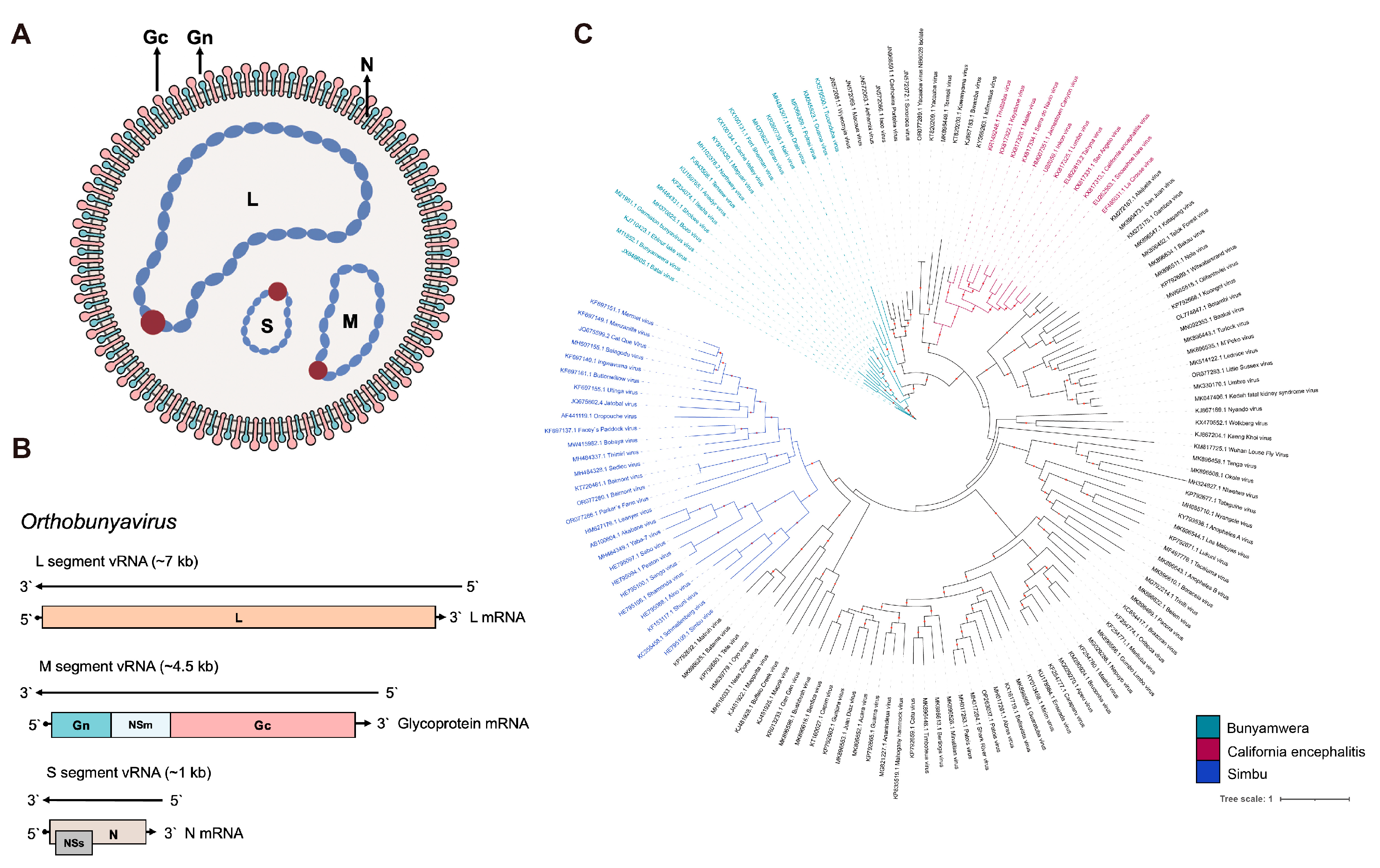 Molecules 30 00503 g001