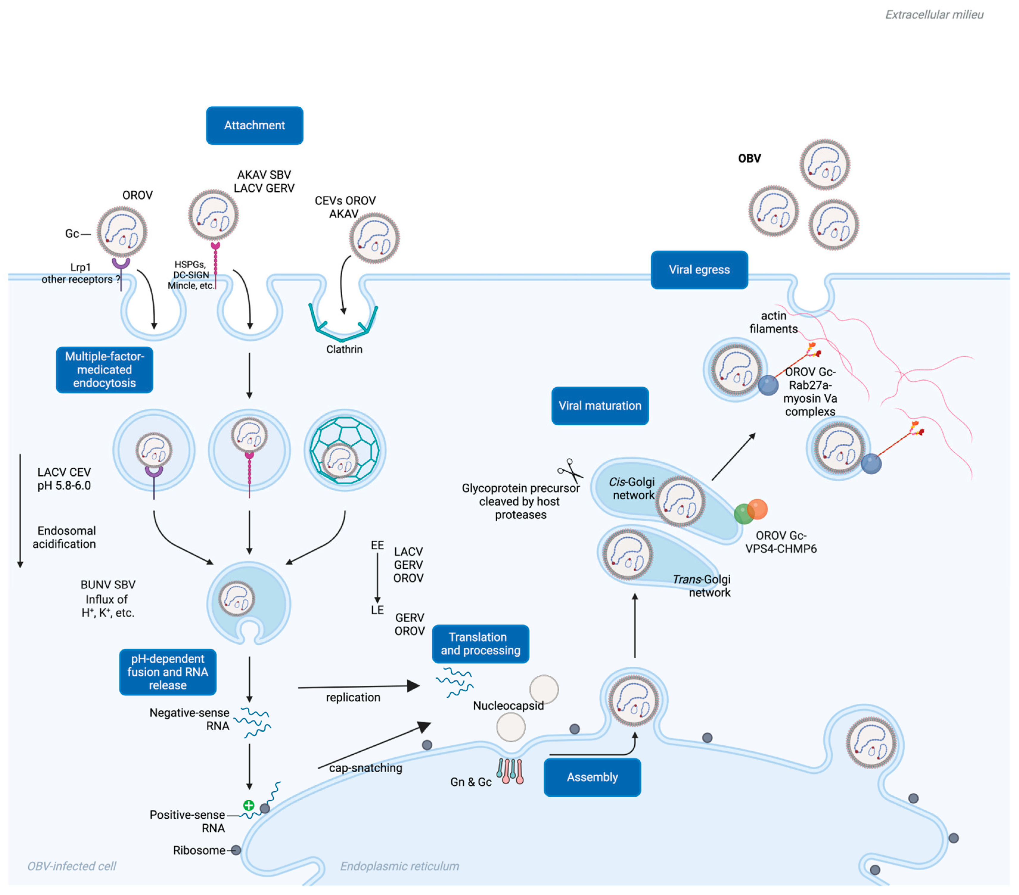 Molecules 30 00503 g003