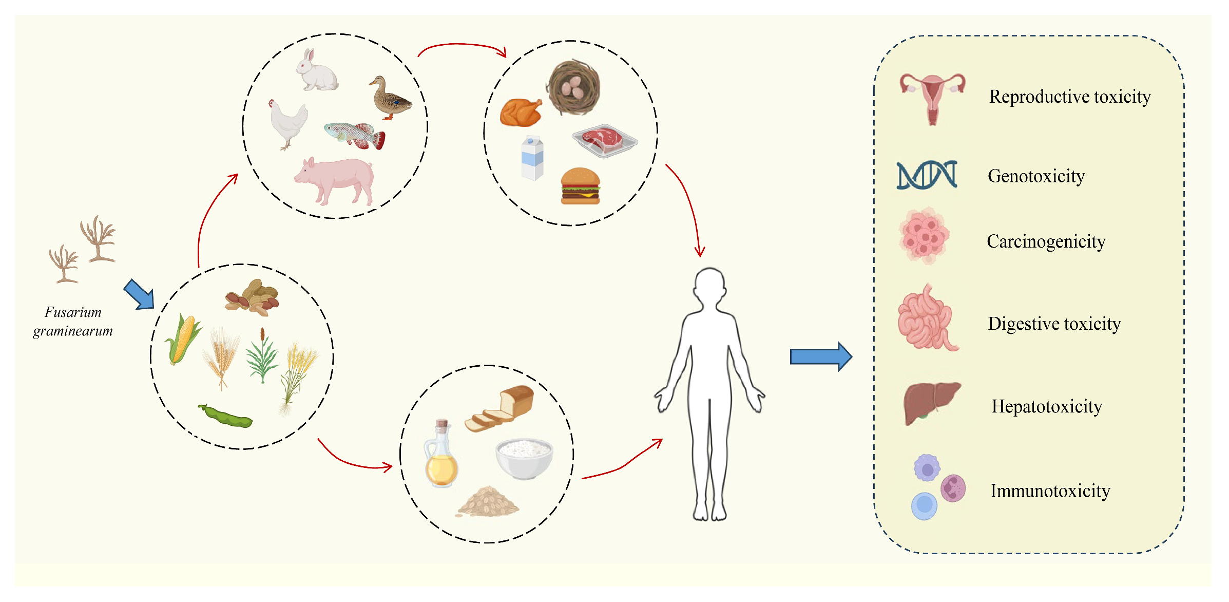 Molecules 30 00505 g001