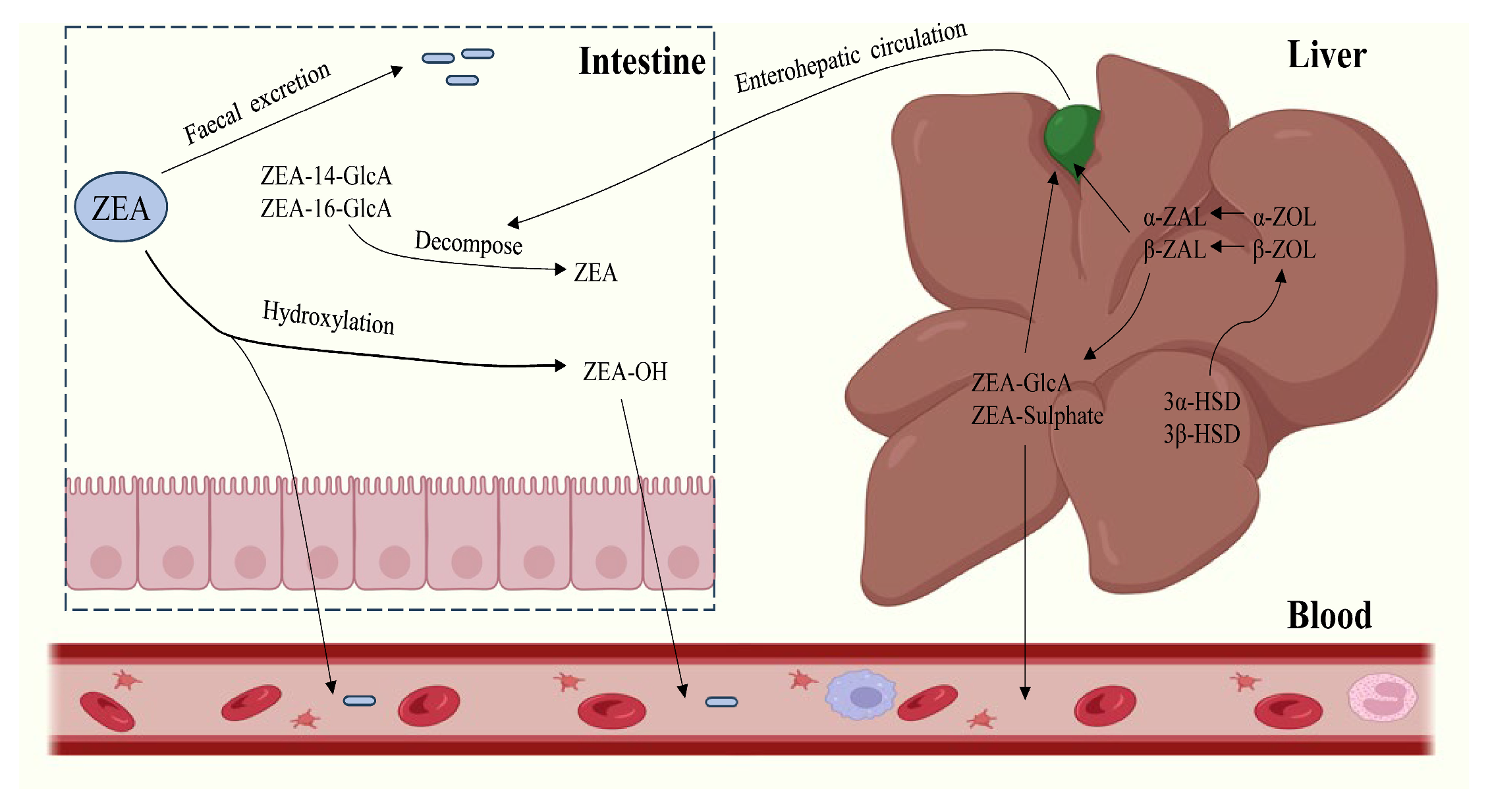Molecules 30 00505 g002