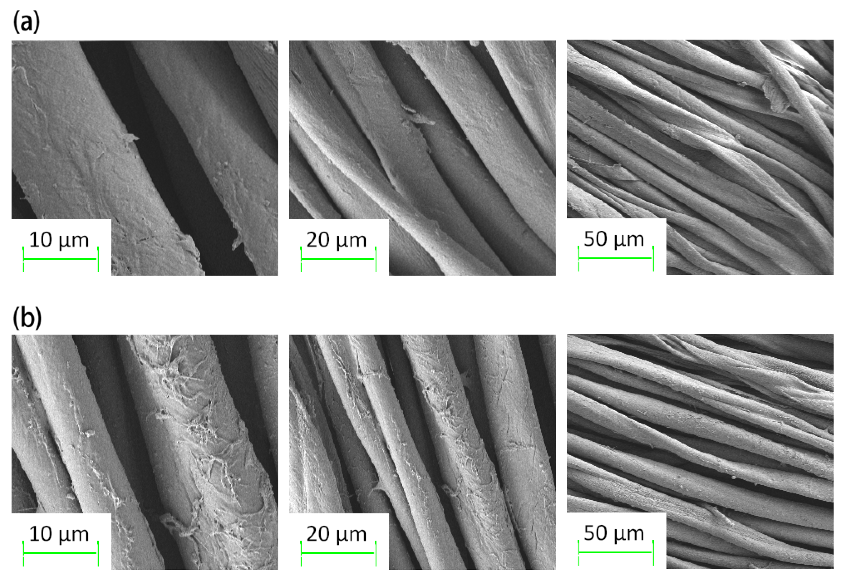 Molecules 30 00509 g008