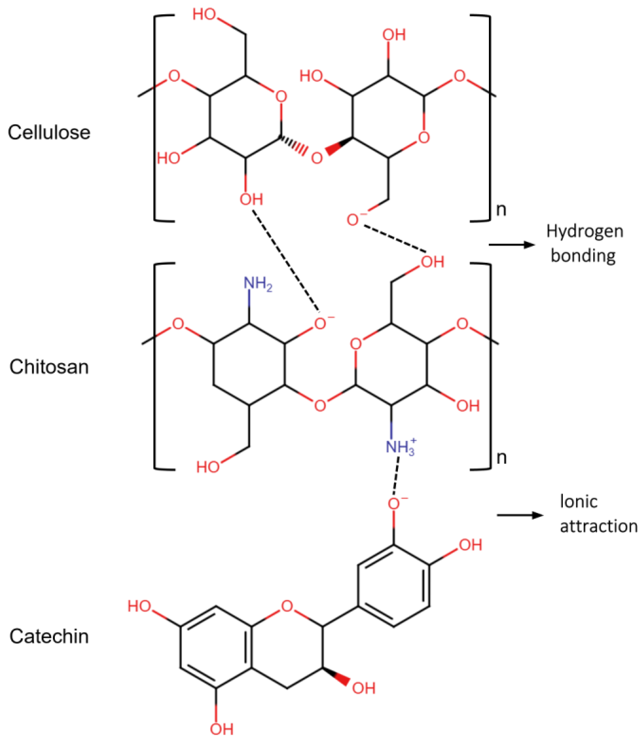Molecules 30 00509 g011