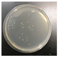 Molecules 30 00509 i025