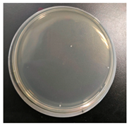 Molecules 30 00509 i026