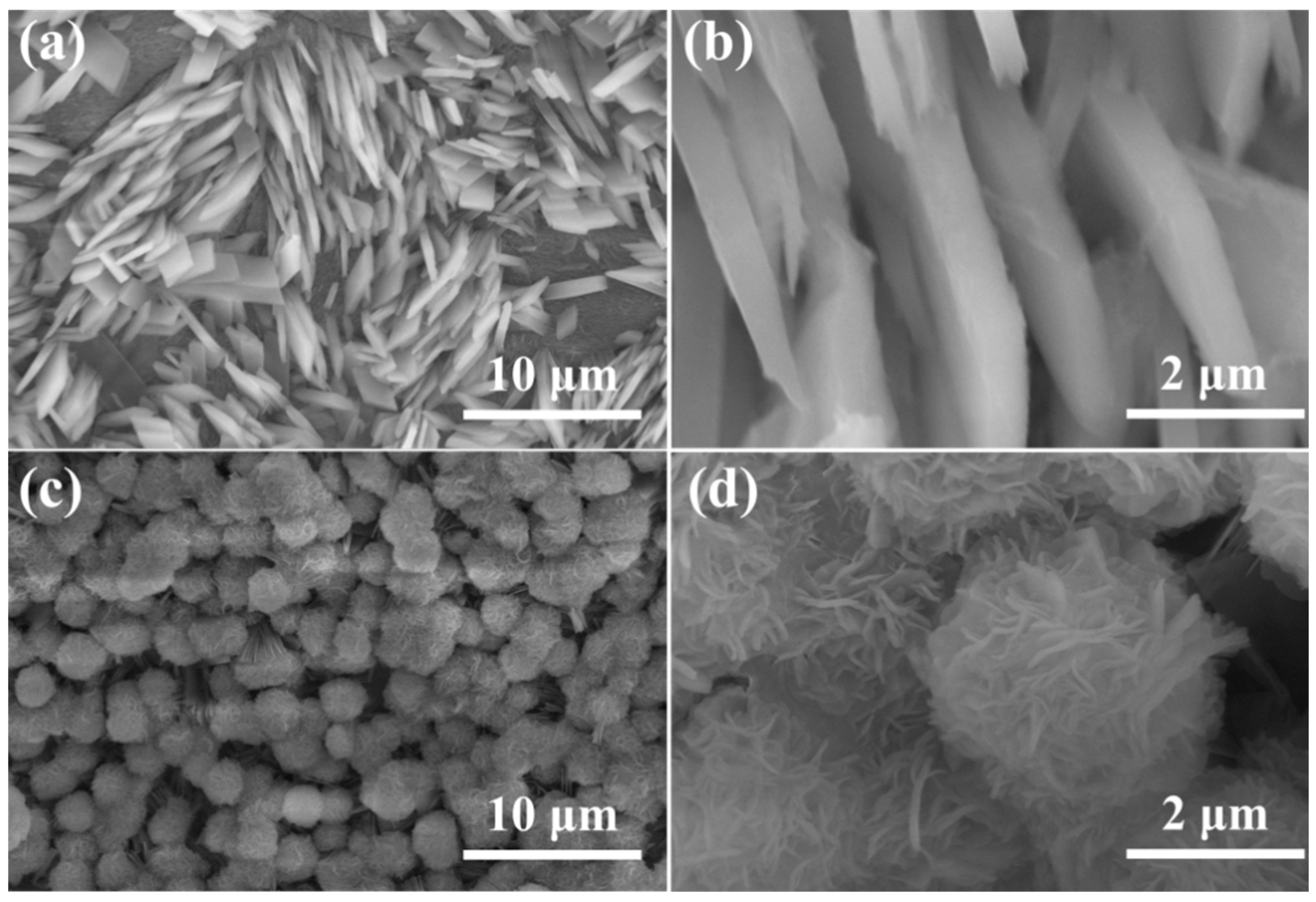 Molecules 30 00513 g002