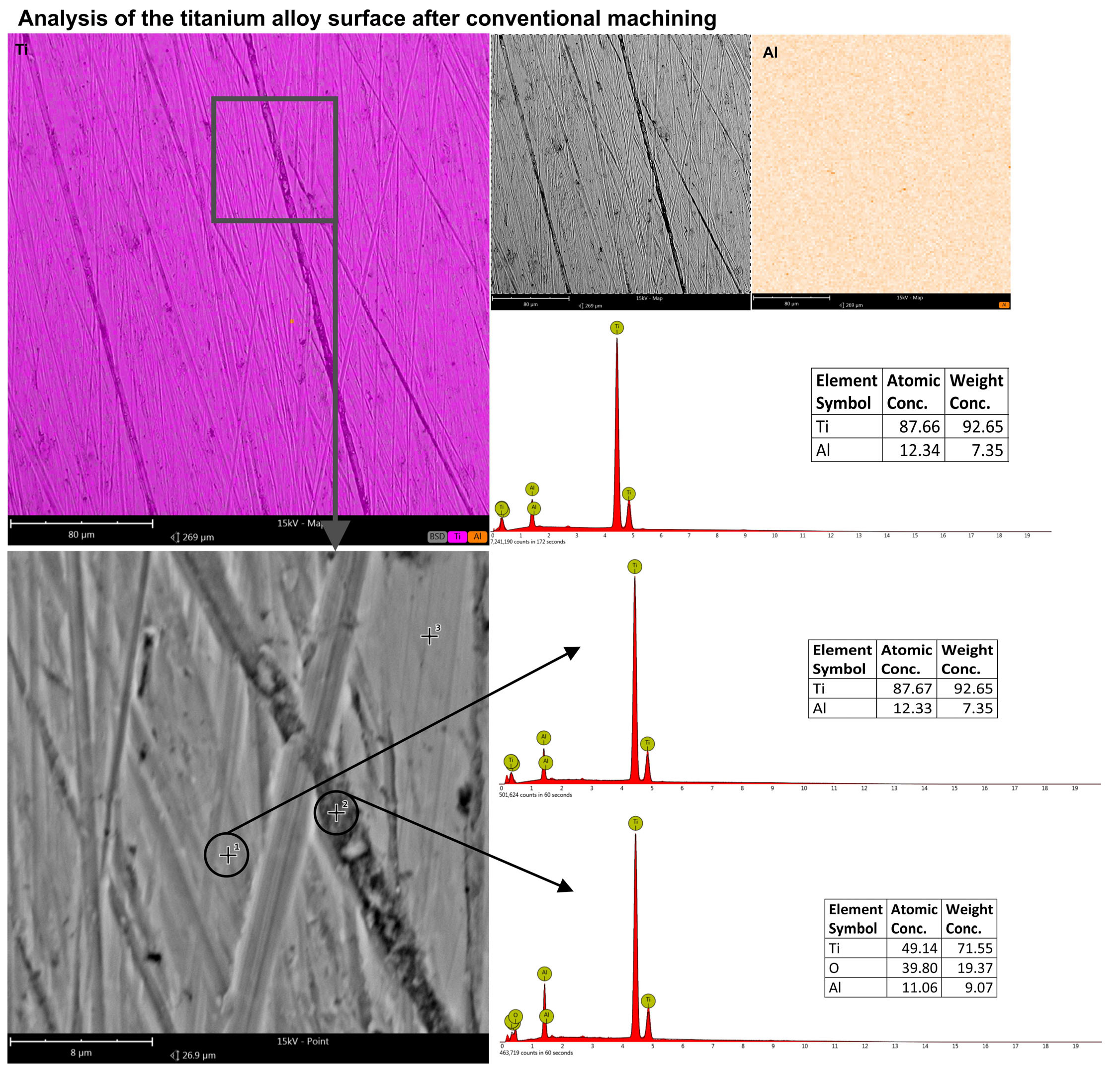 Molecules 30 00514 g012