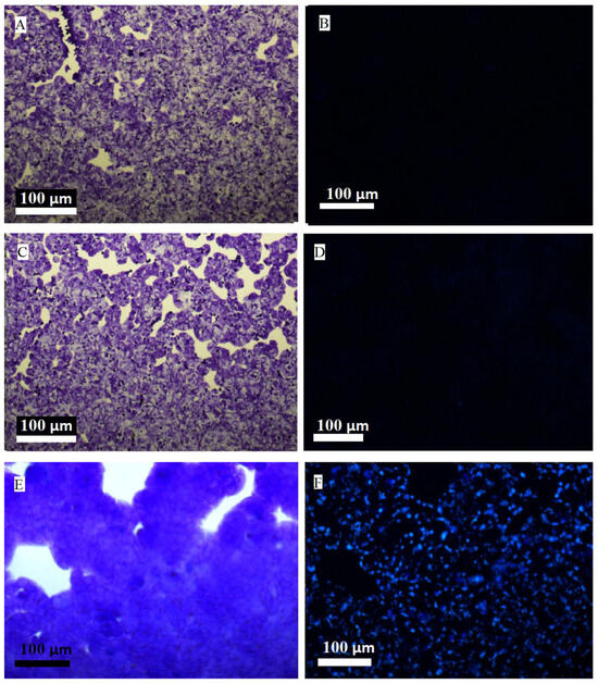 Molecules 30 00516 g001