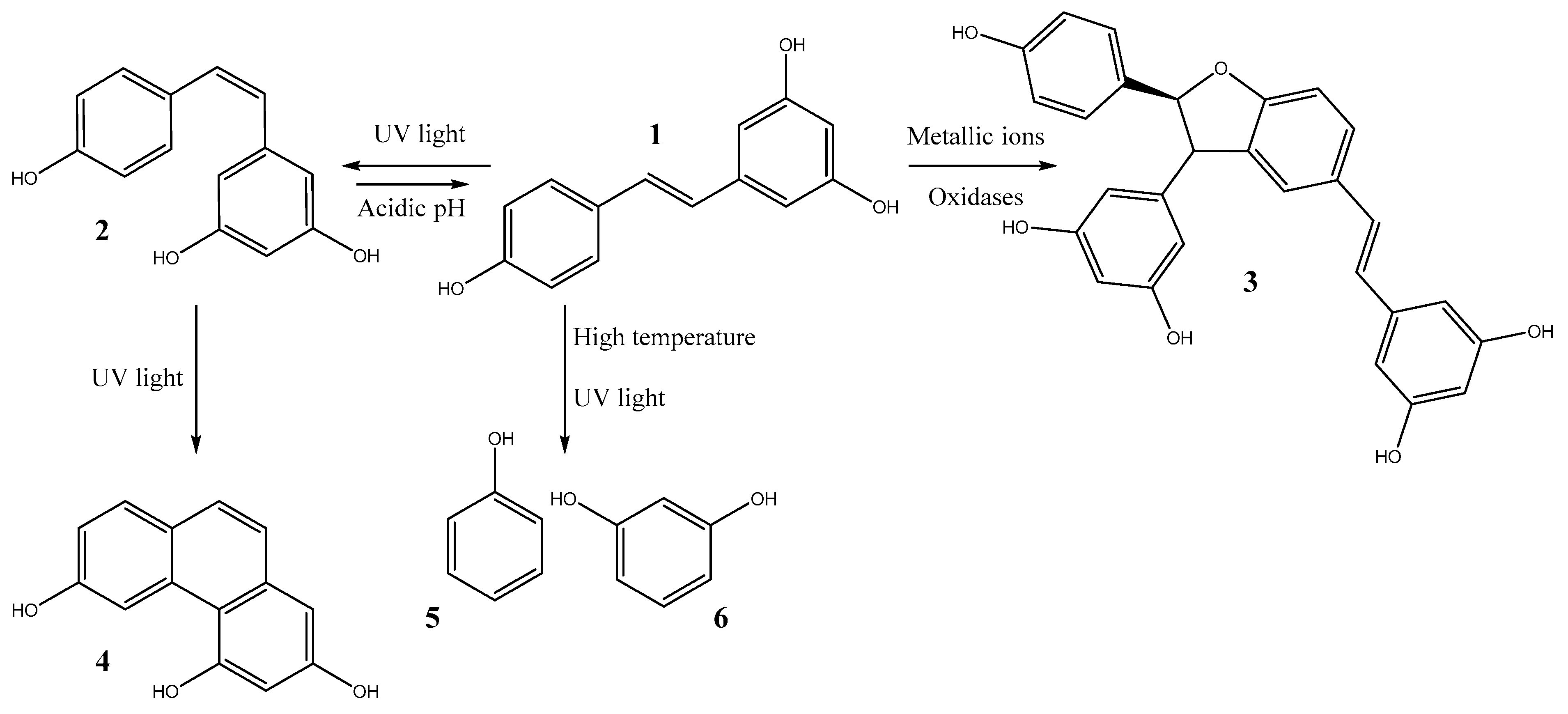 Molecules 30 00536 g001