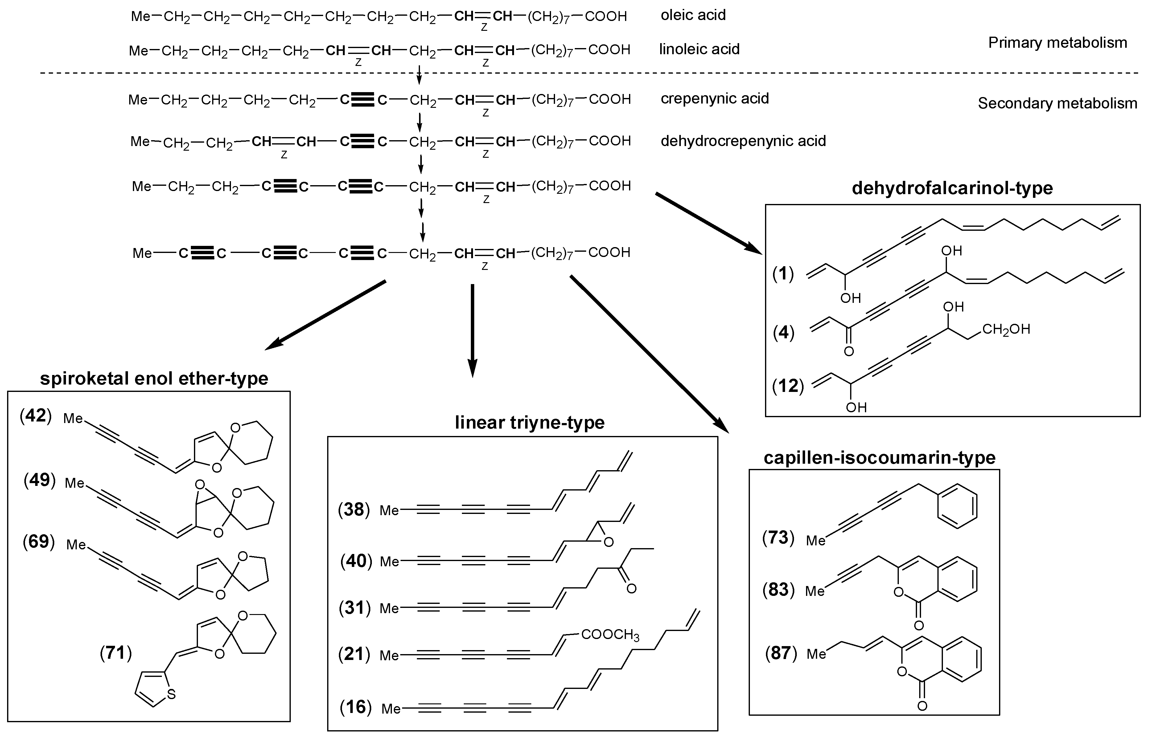 Molecules 30 00537 g001 Molecules 30 00537 g001