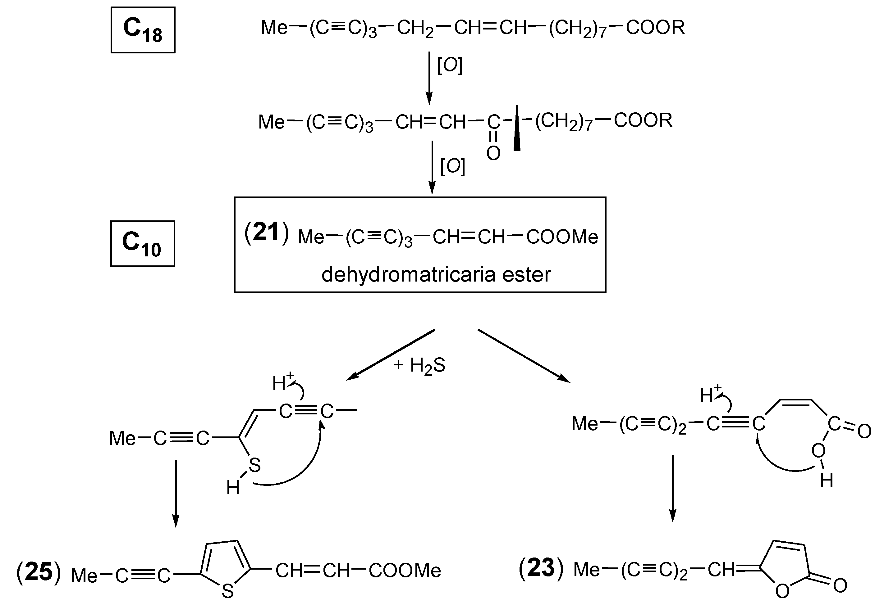 Molecules 30 00537 sch002 Molecules 30 00537 sch002