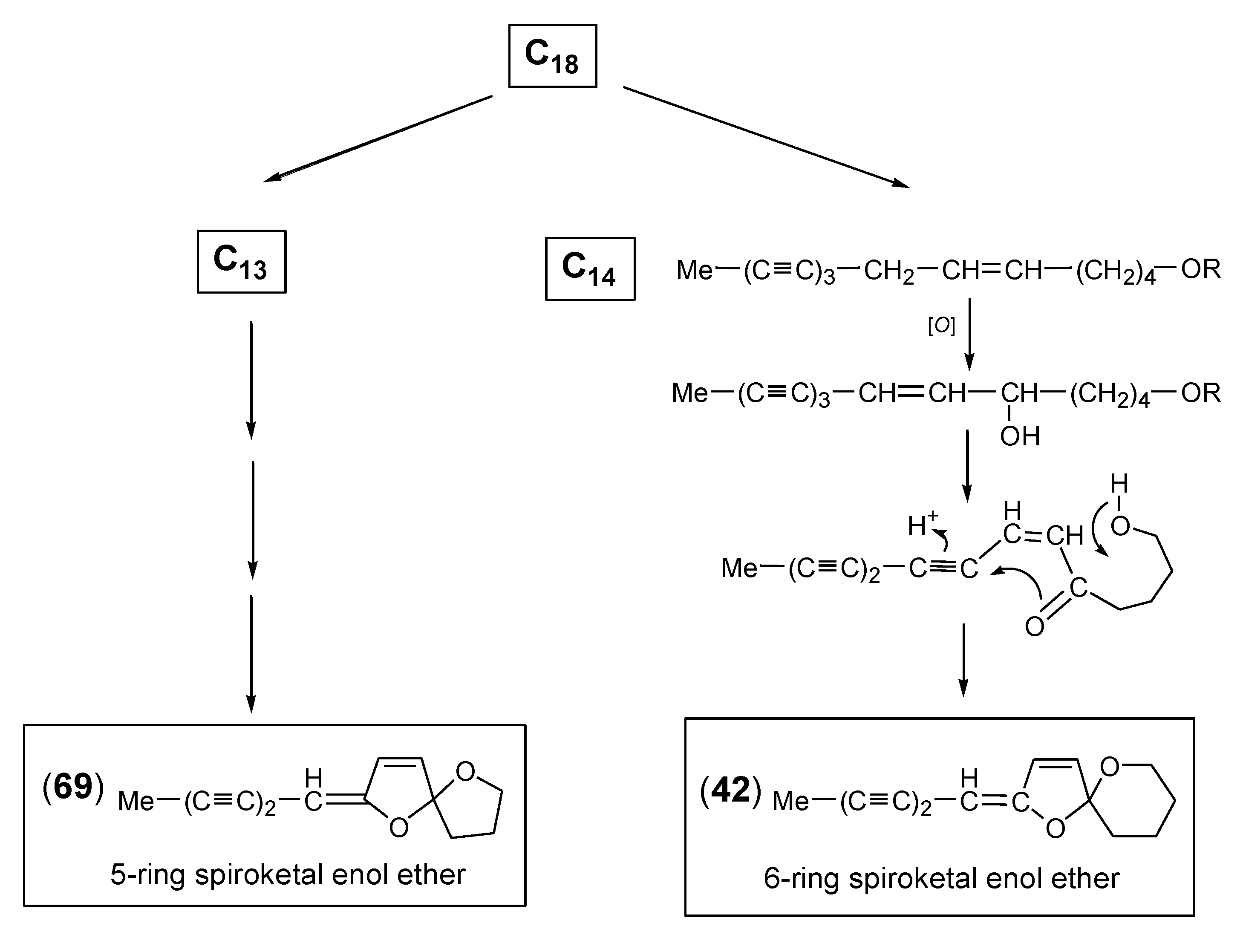 Molecules 30 00537 sch004 Molecules 30 00537 sch004