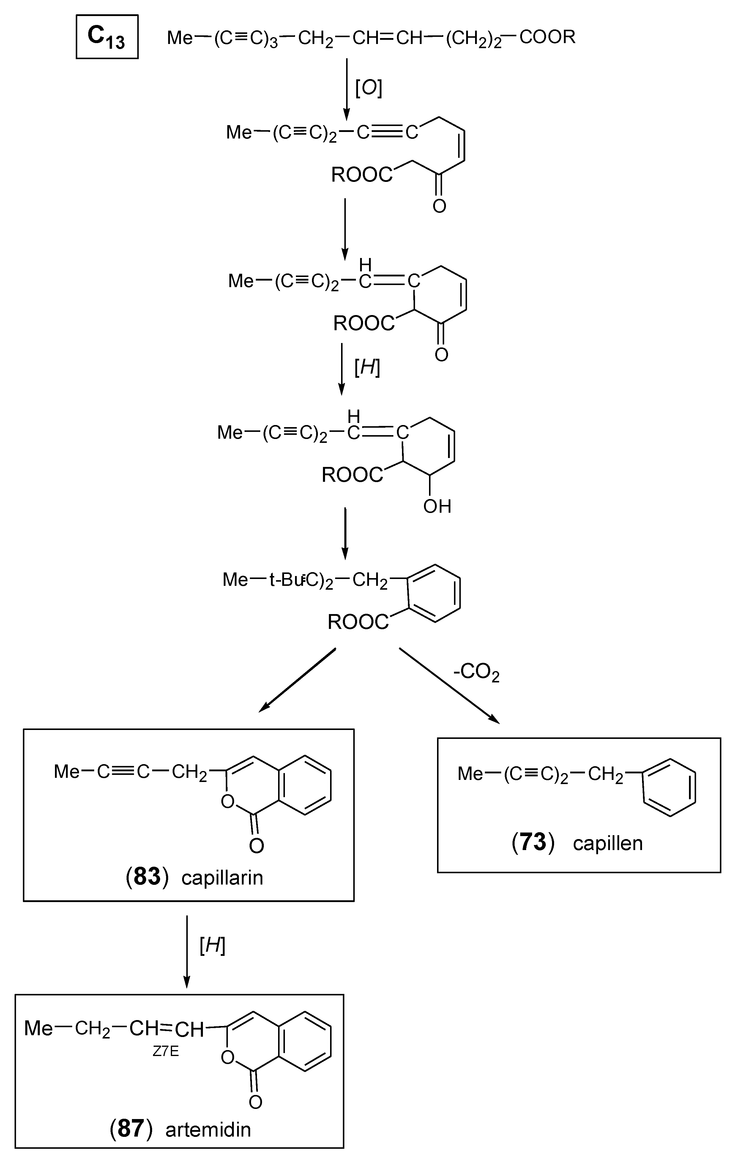 Molecules 30 00537 sch005 Molecules 30 00537 sch005