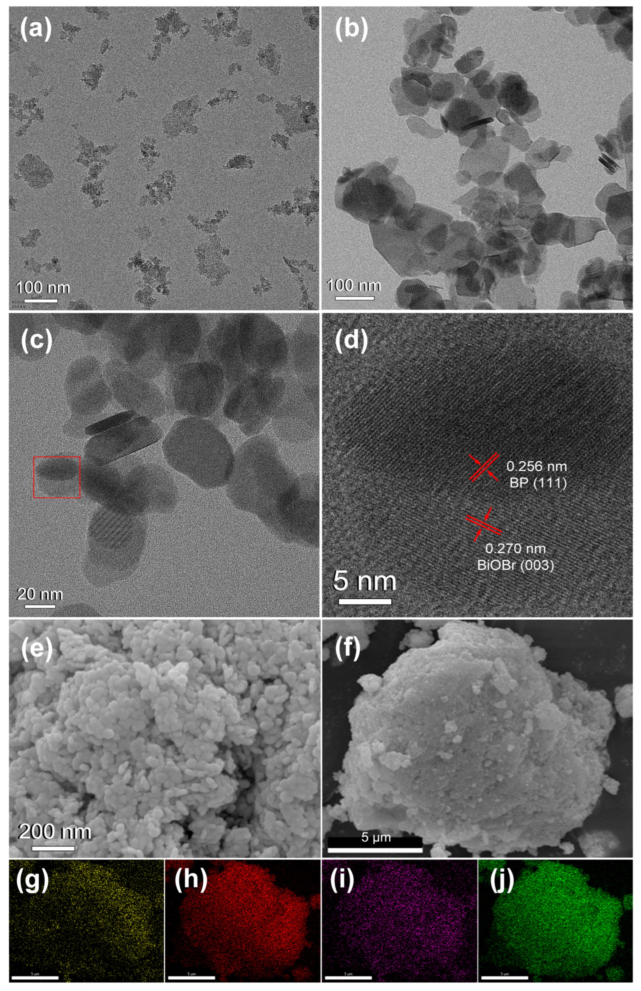 Molecules 30 00538 g002