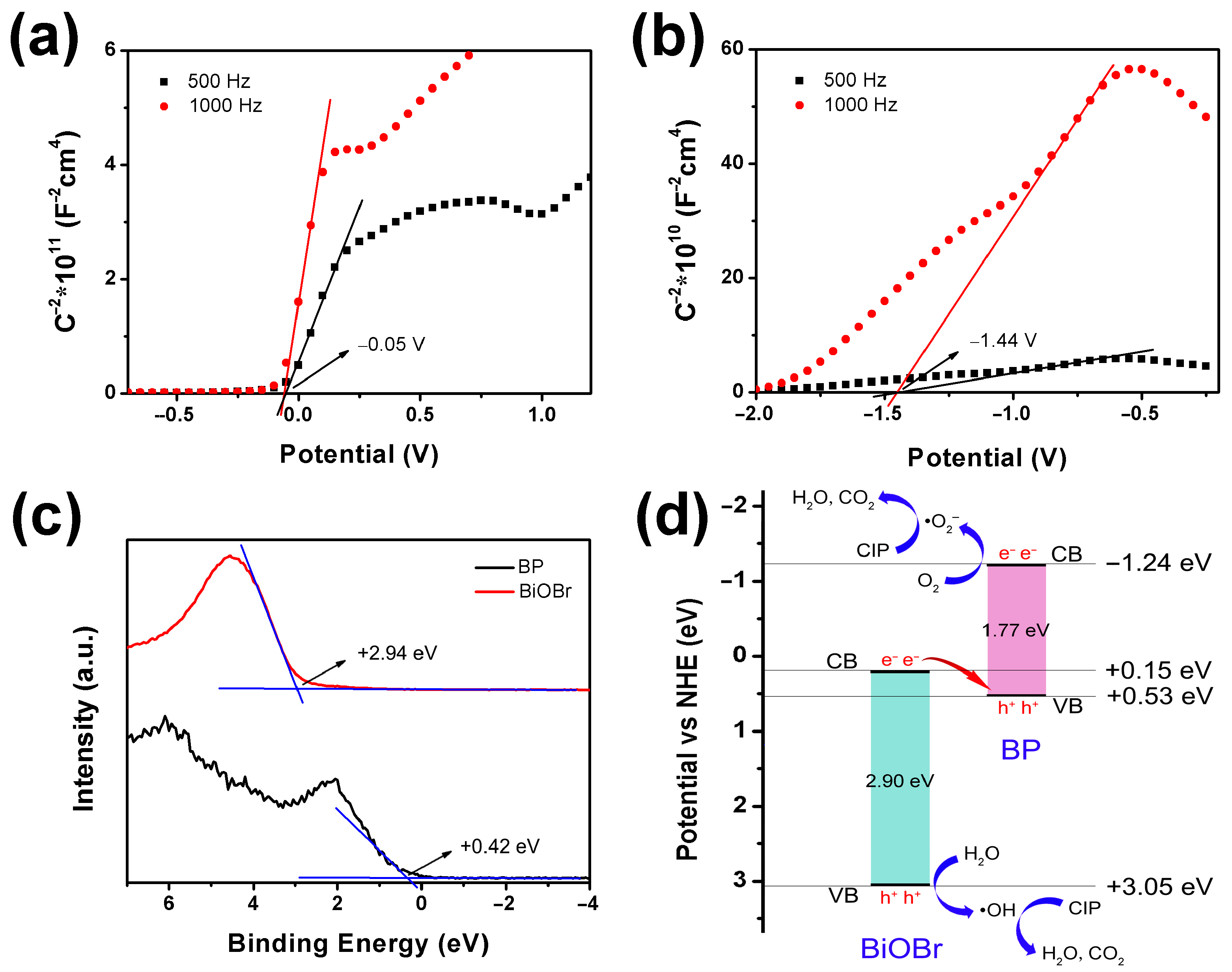 Molecules 30 00538 g006