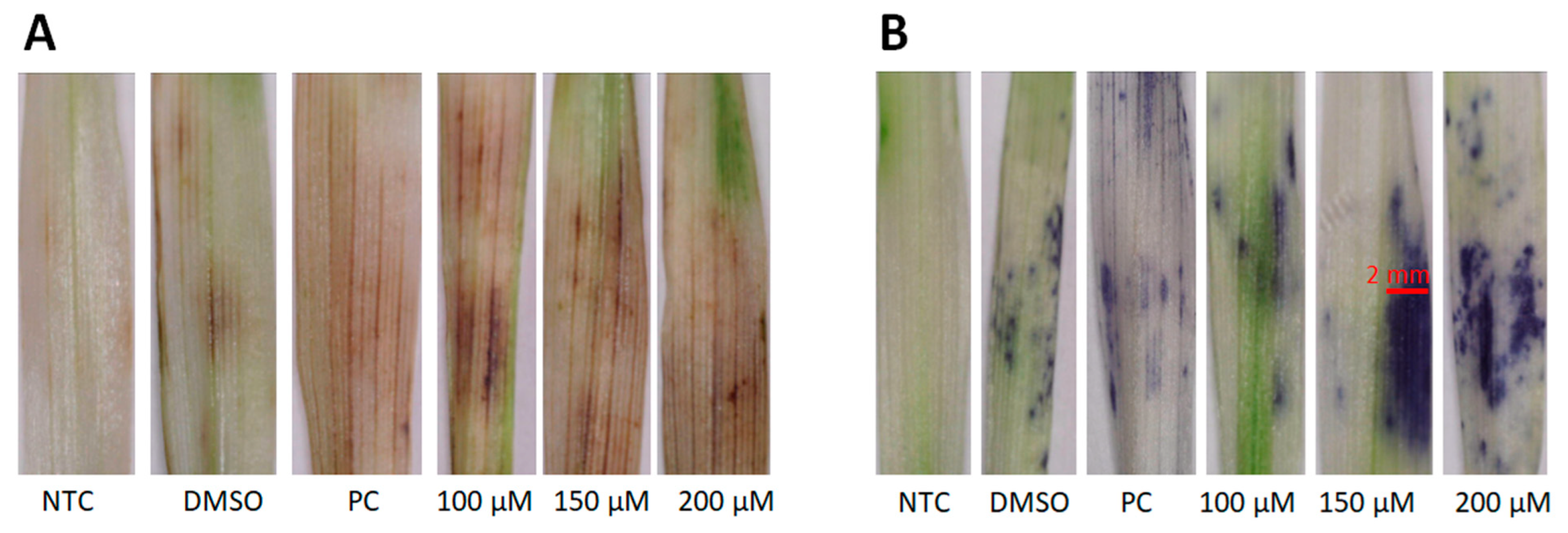 Molecules 30 00545 g001