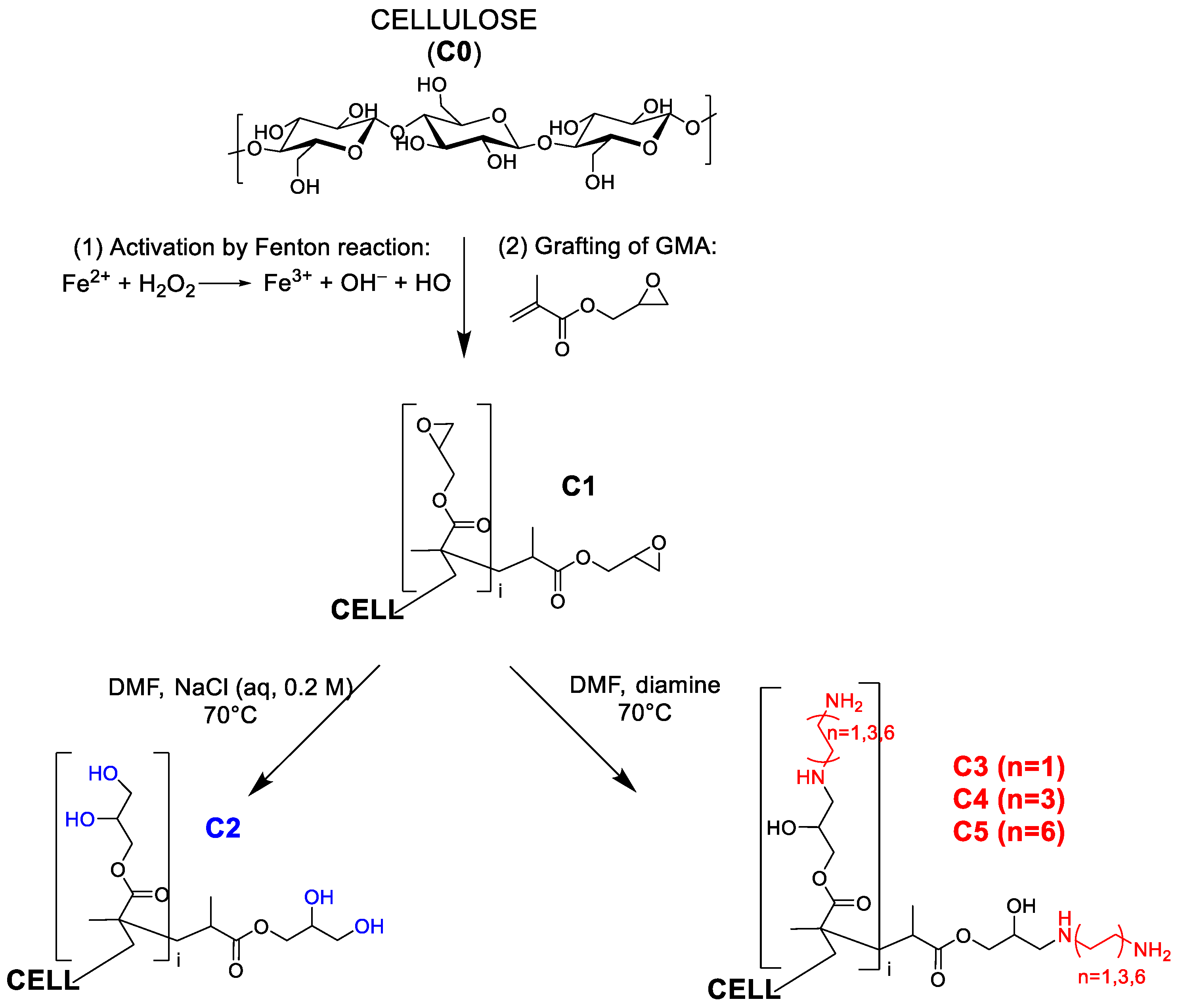Molecules 30 00552 g001