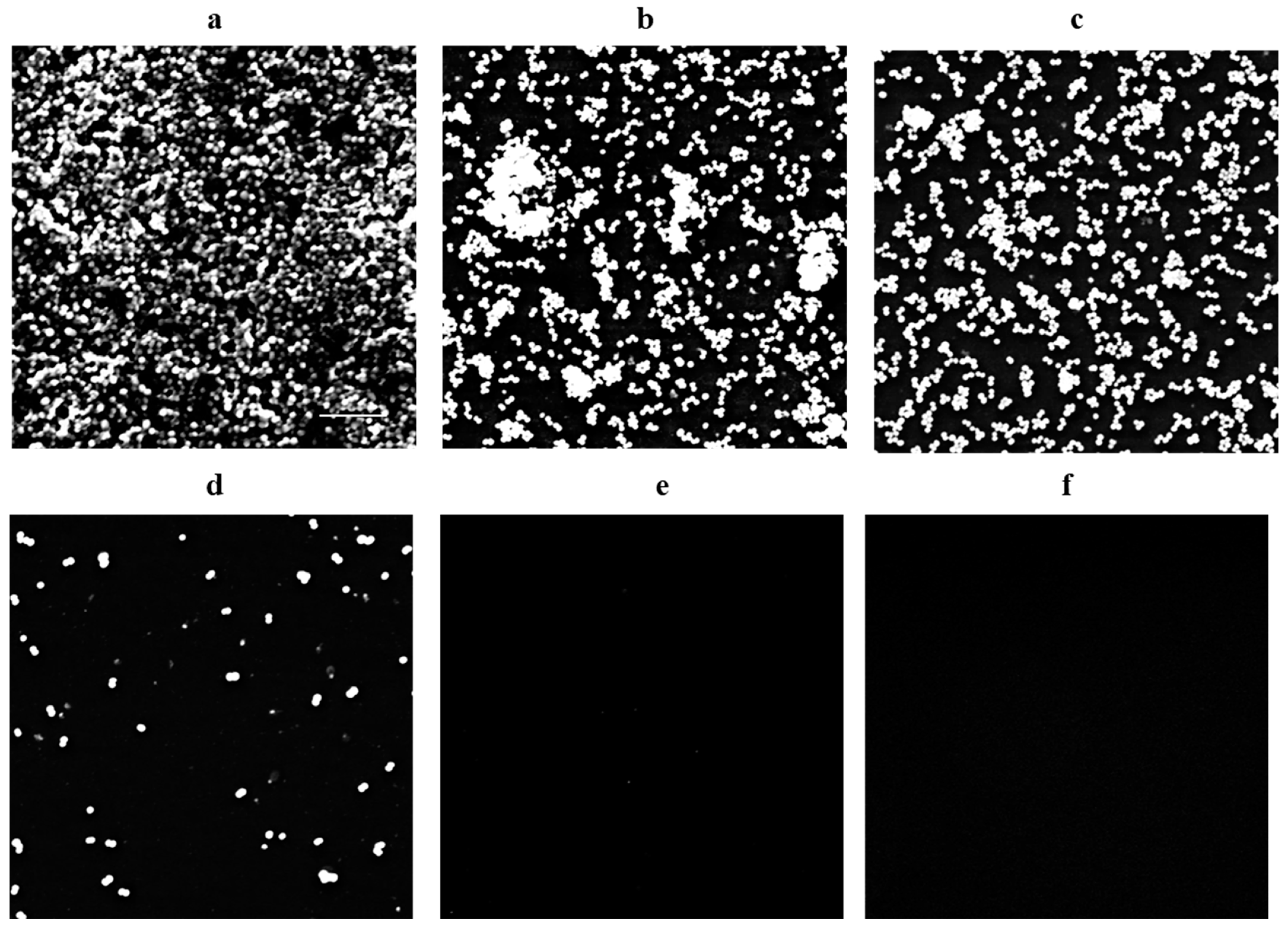 Molecules 30 00553 g003 Molecules 30 00553 g003
