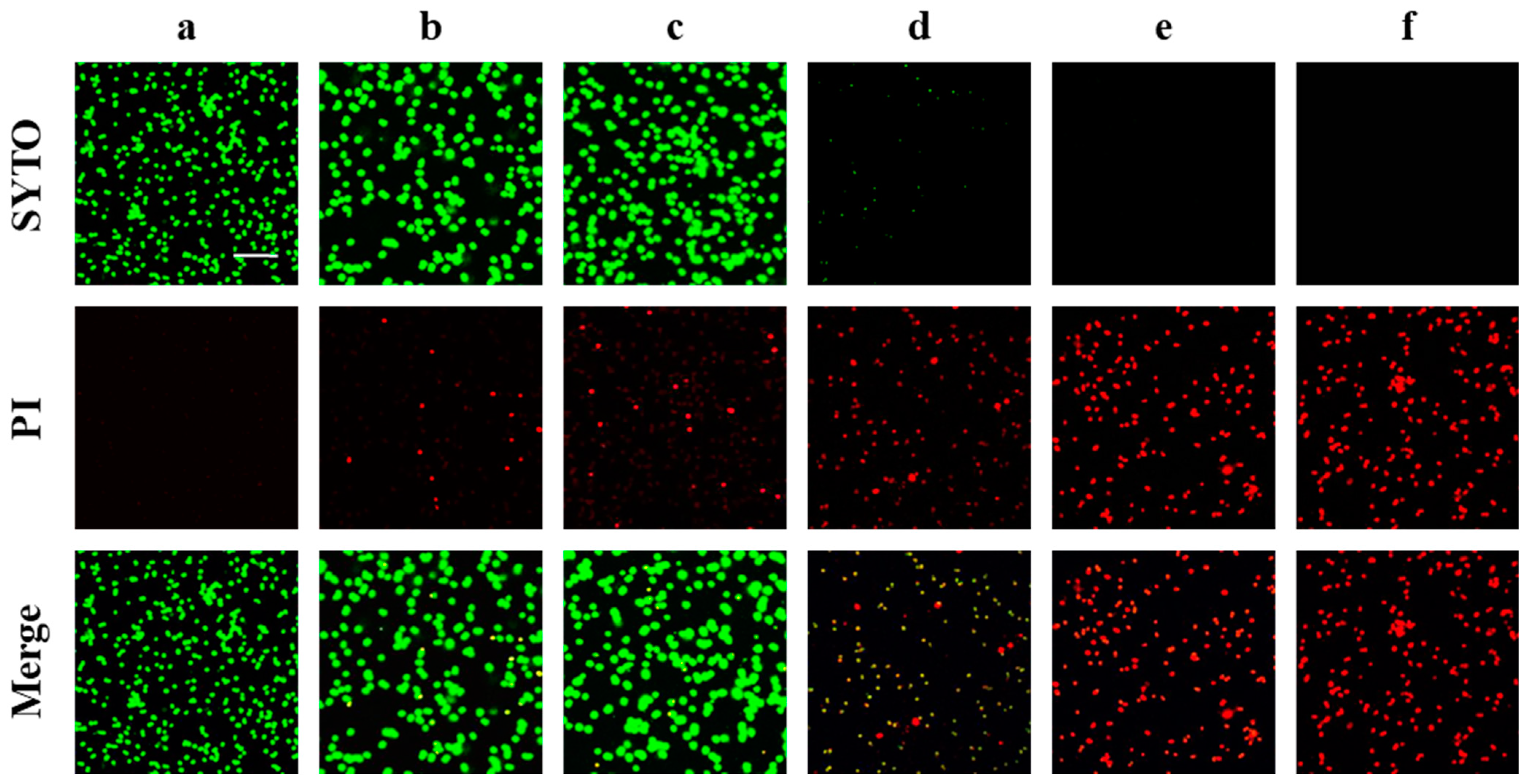 Molecules 30 00553 g004 Molecules 30 00553 g004