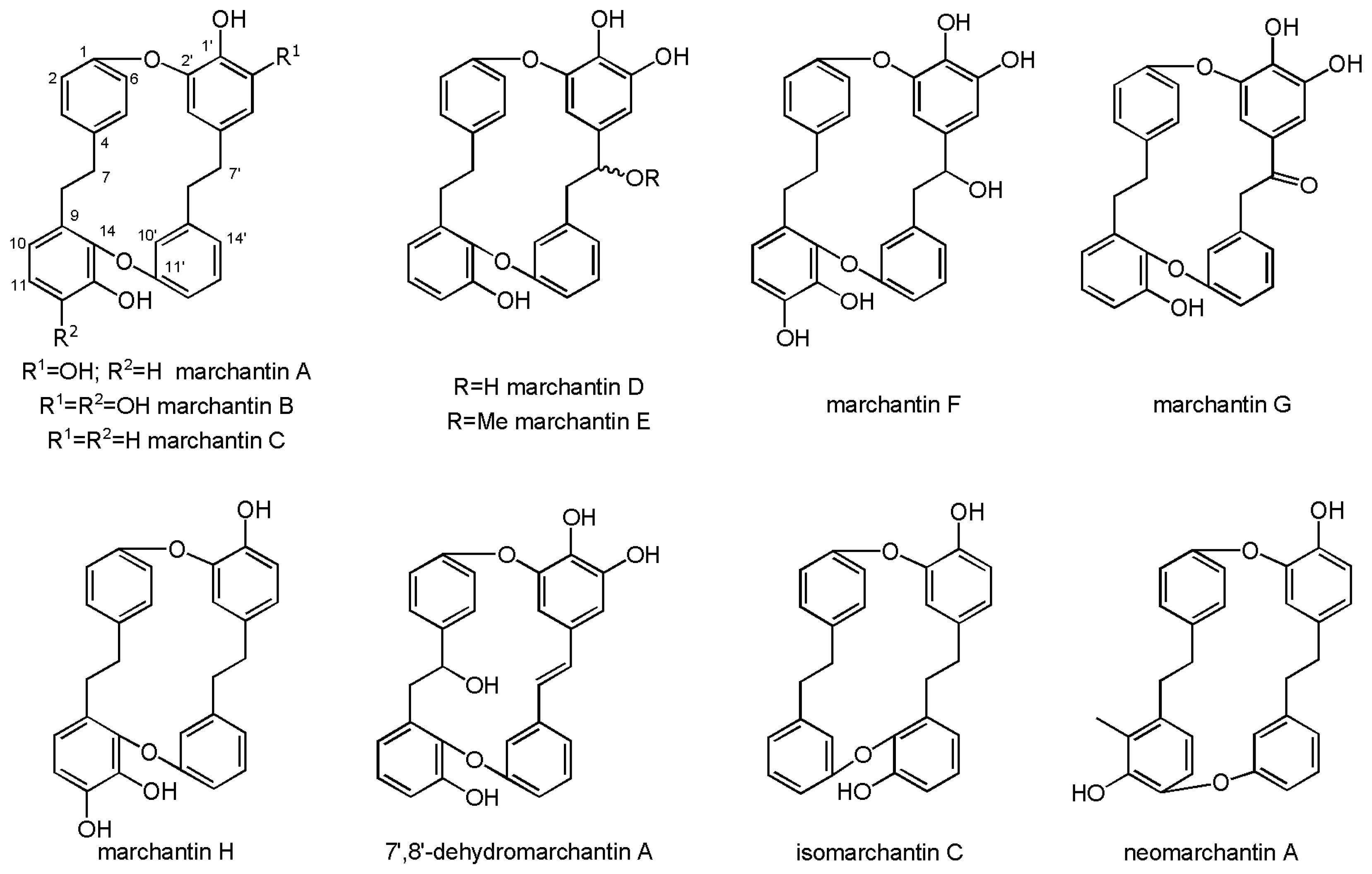 Molecules 30 00558 g003 Molecules 30 00558 g003