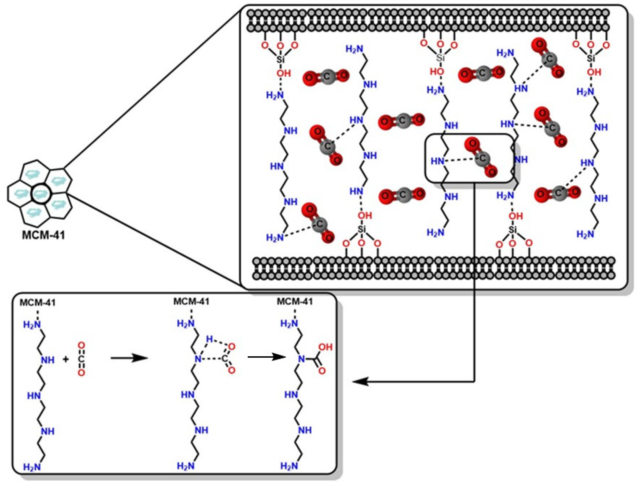 Molecules 30 00563 g011