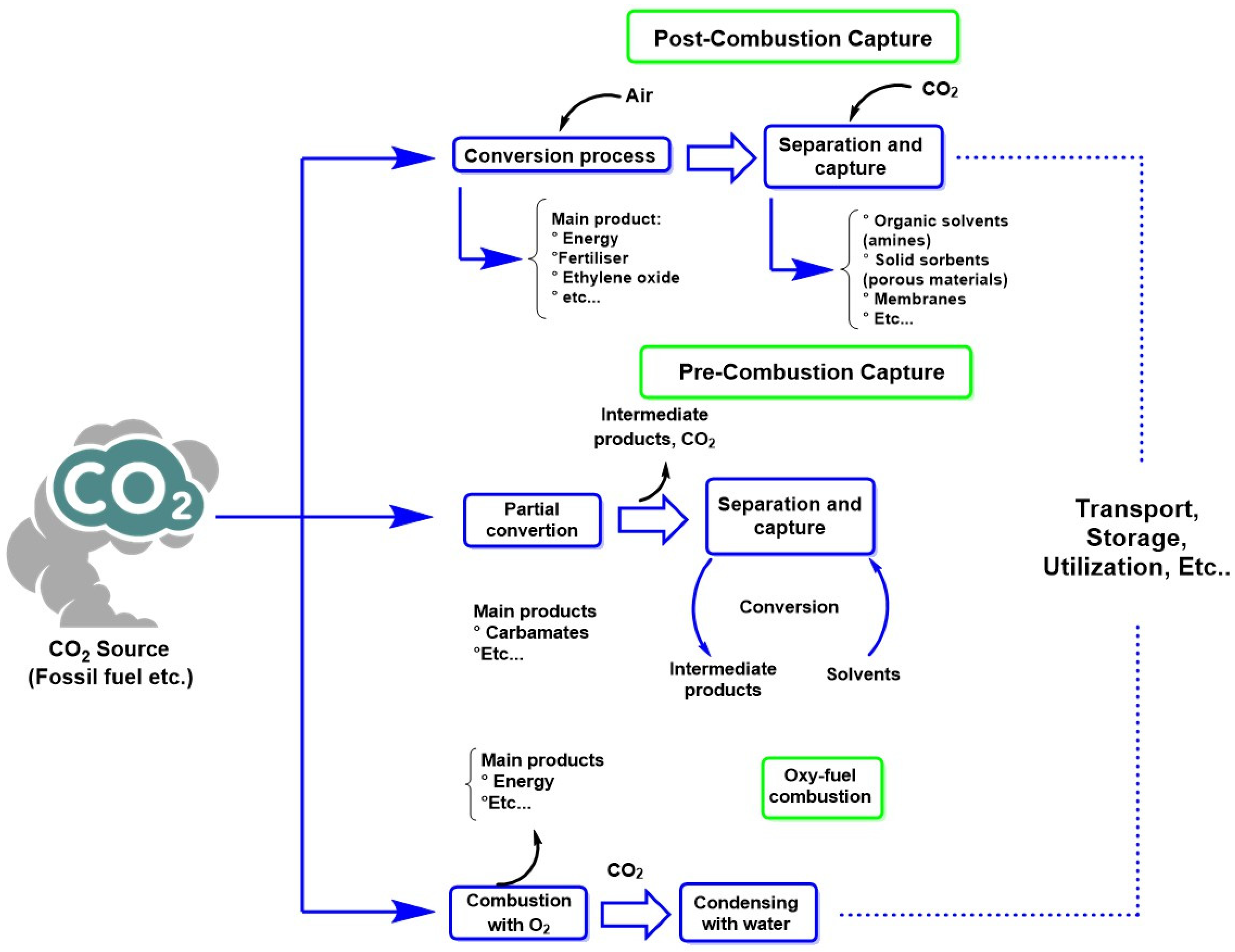 Molecules 30 00563 g018