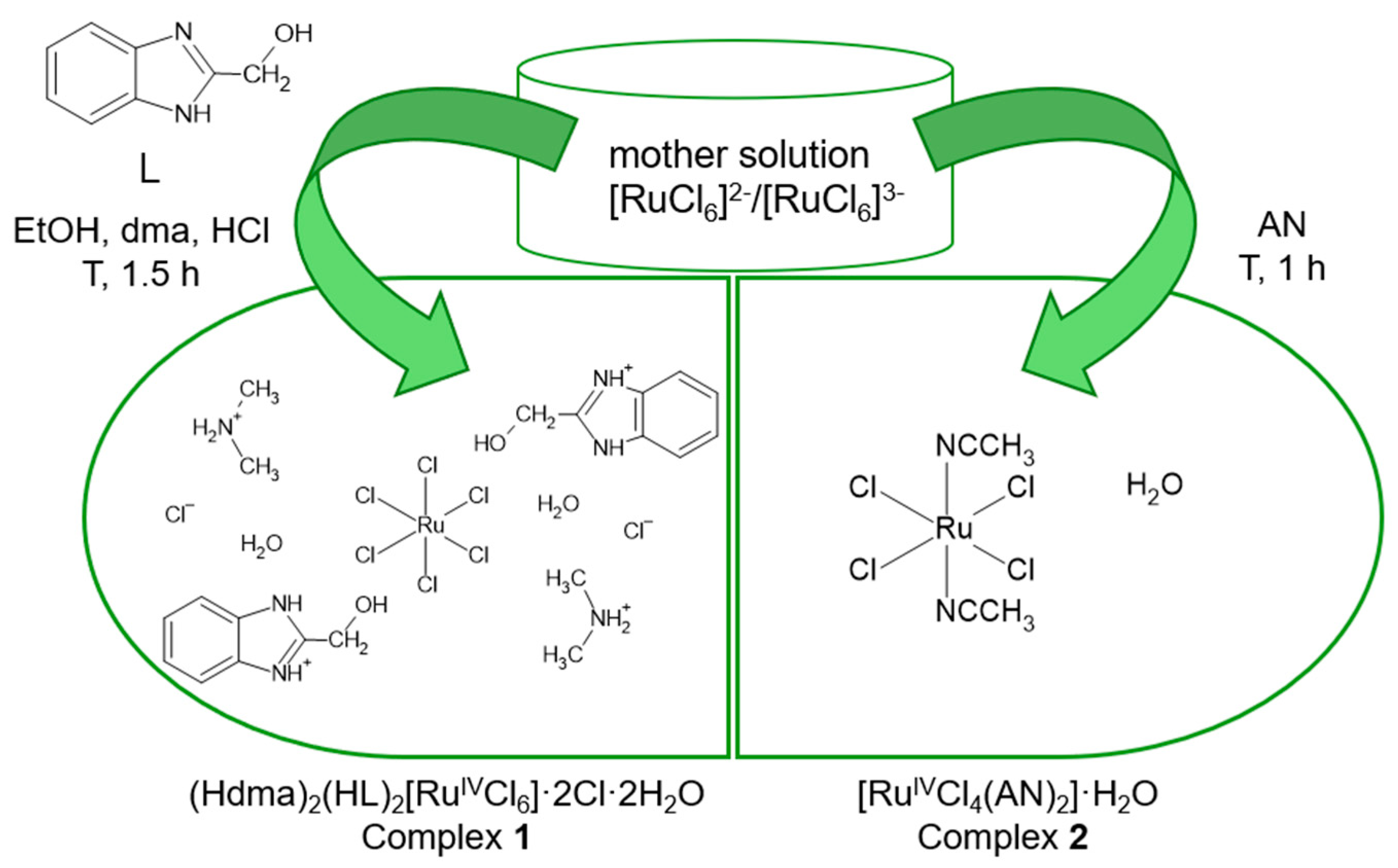 Molecules 30 00564 g001