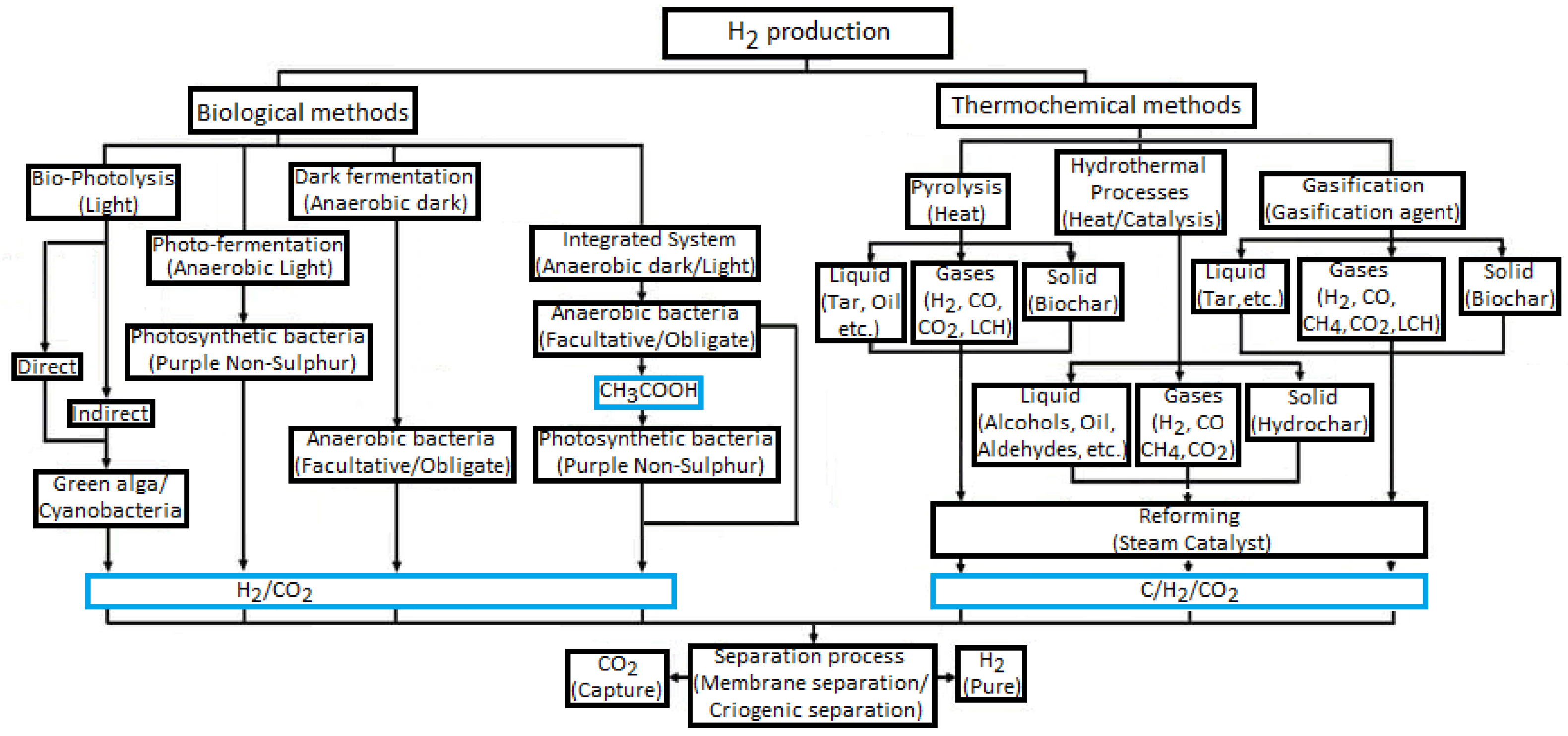 Molecules 30 00565 g001