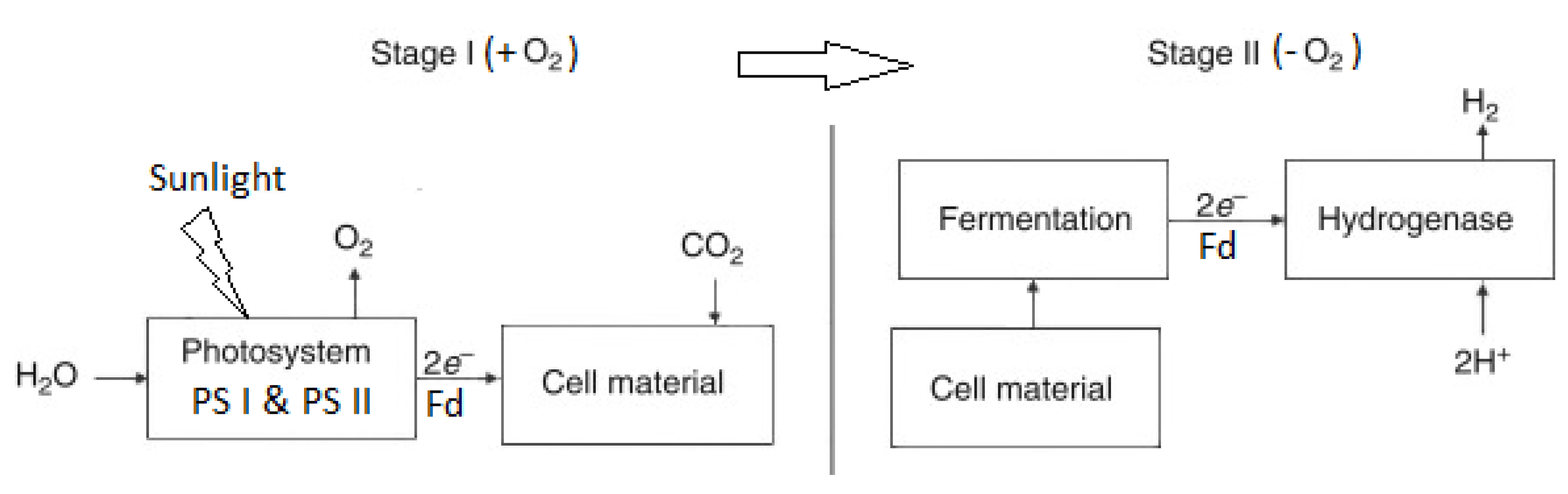 Molecules 30 00565 g003