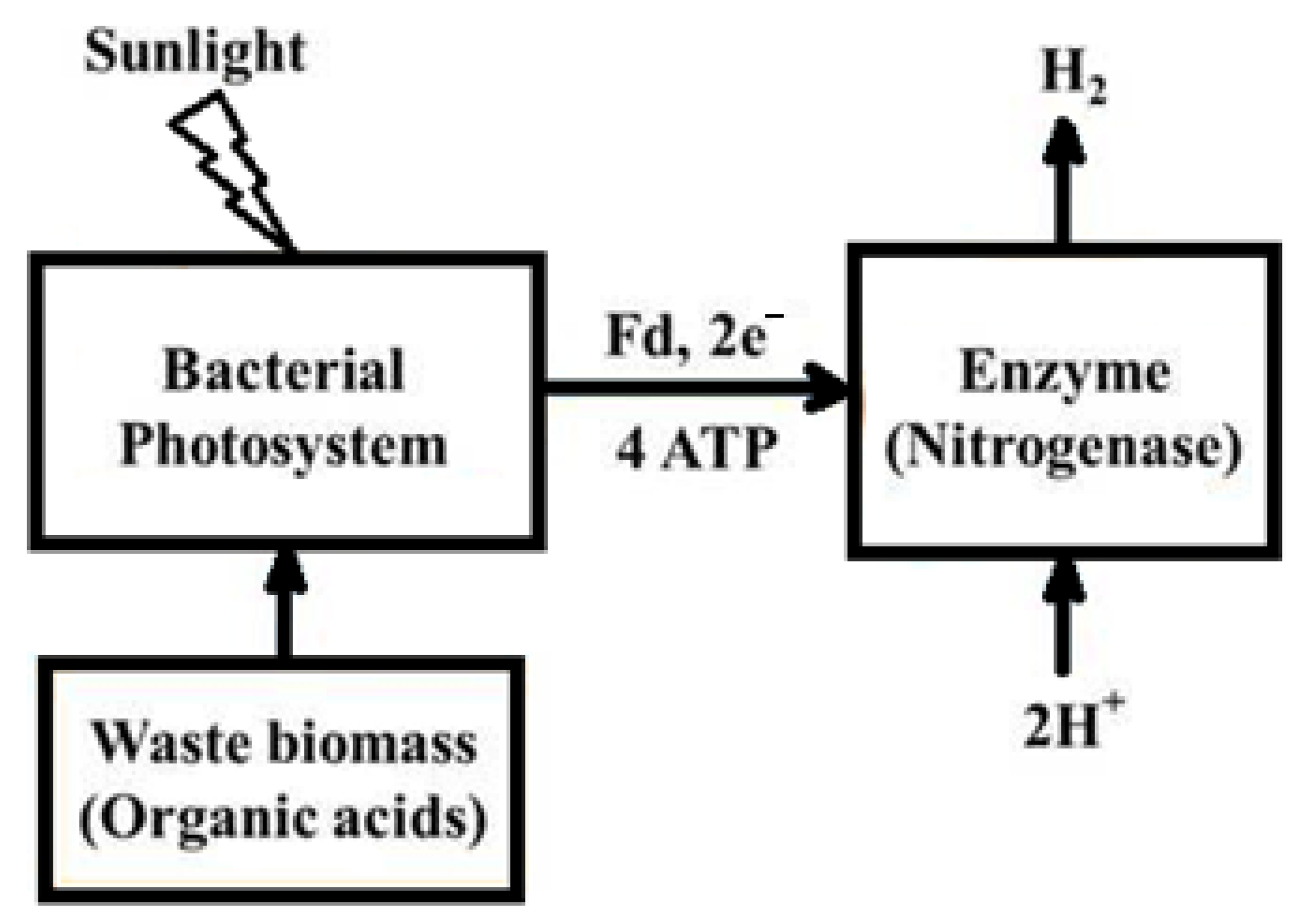 Molecules 30 00565 g004