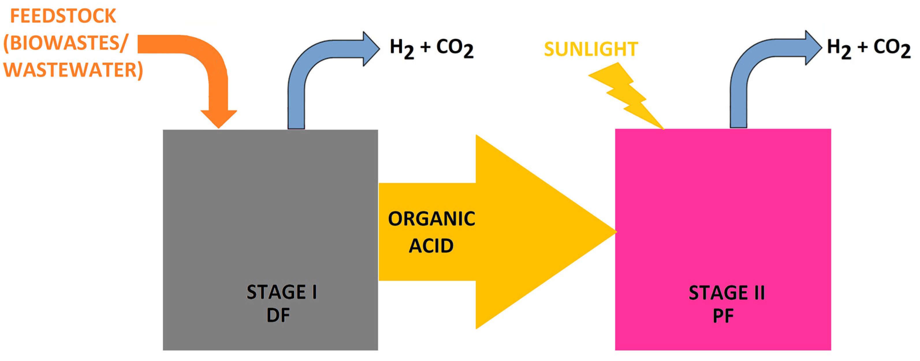 Molecules 30 00565 g006