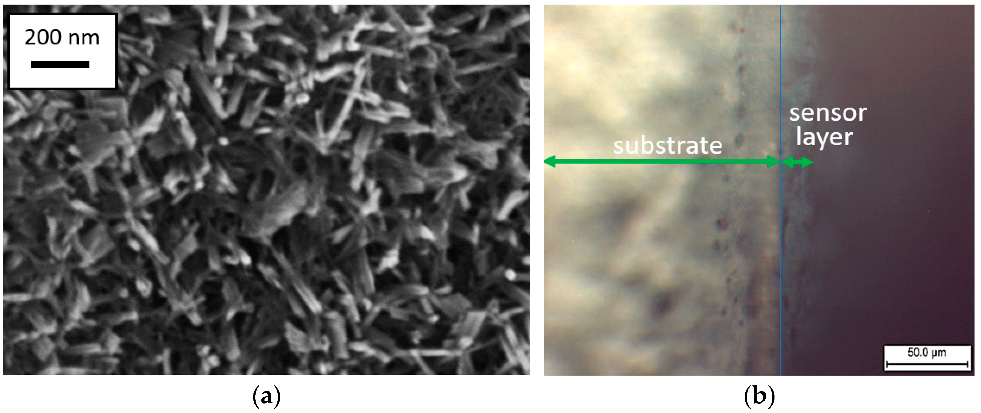 Molecules 30 00566 g001