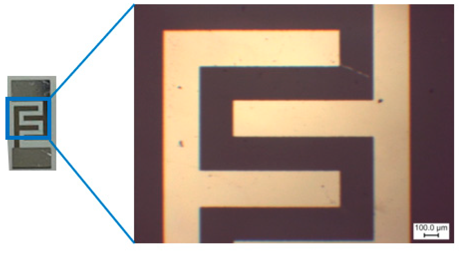 Molecules 30 00566 g010