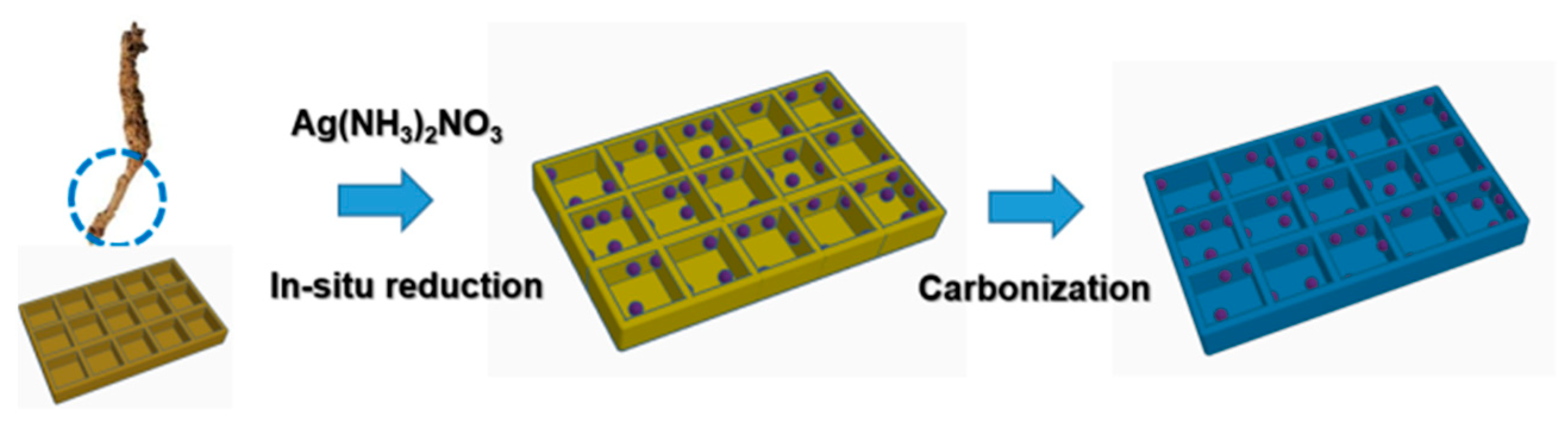 Molecules 30 00567 g002