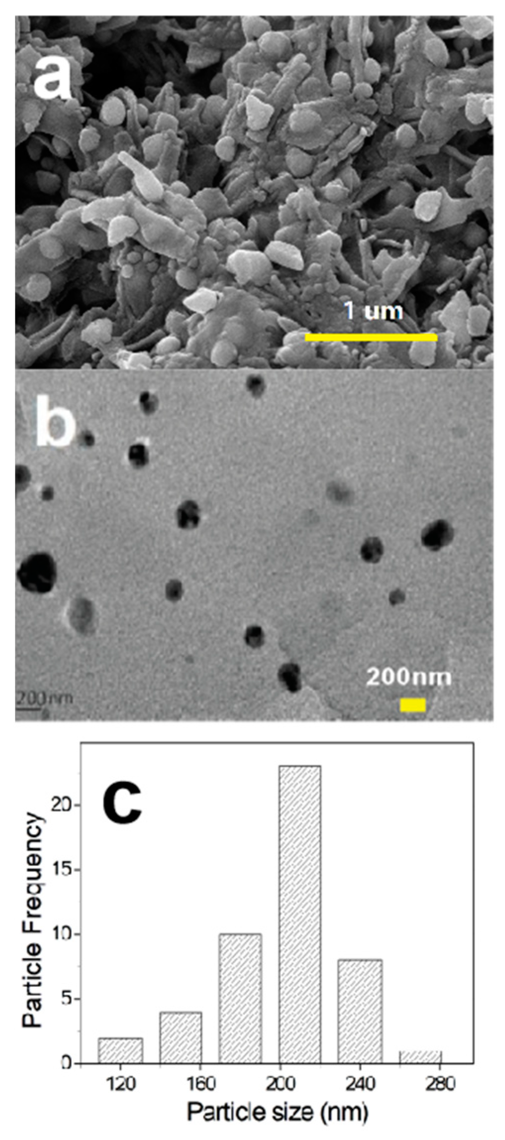 Molecules 30 00567 g007