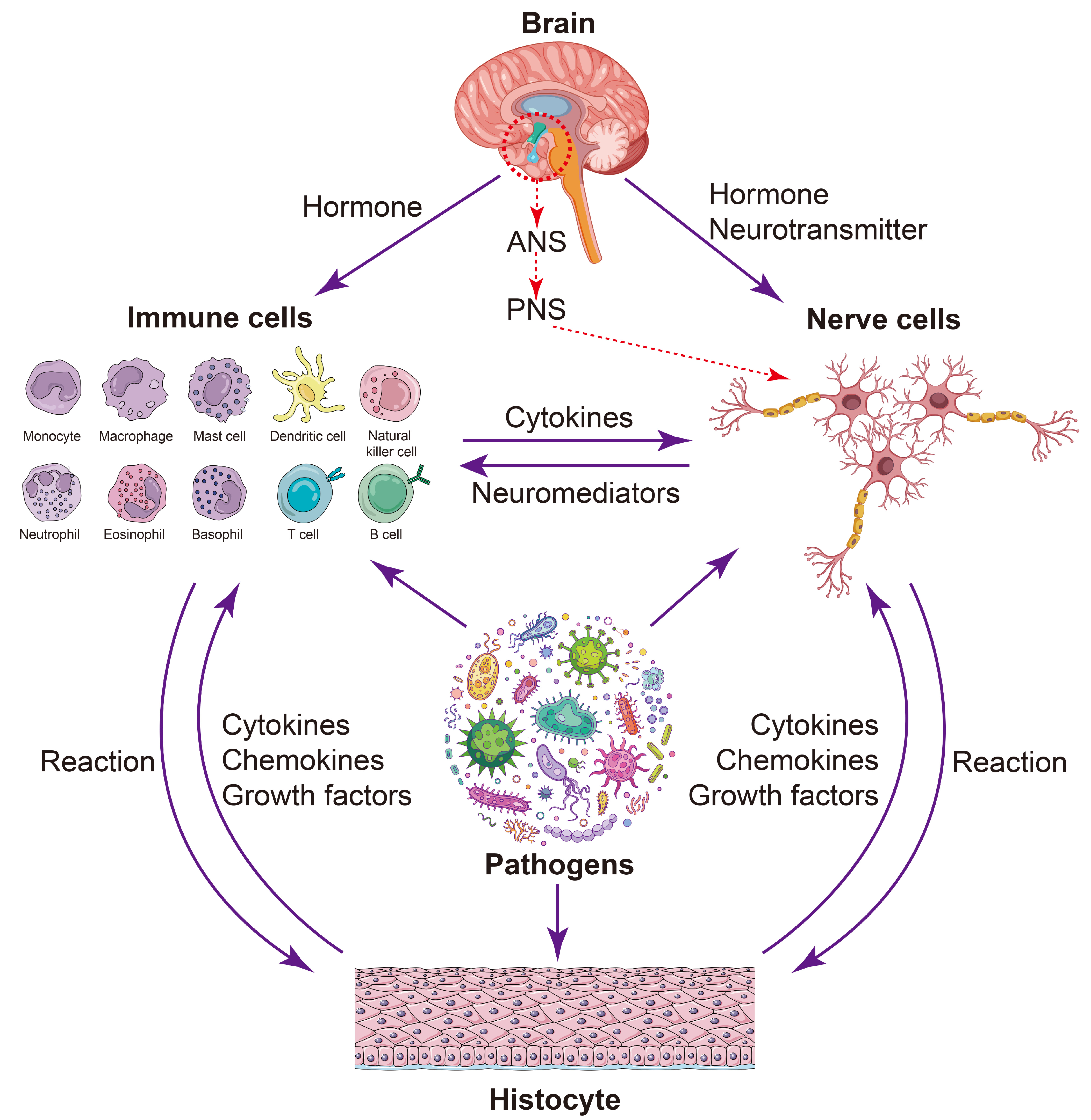 Molecules 30 00568 g001