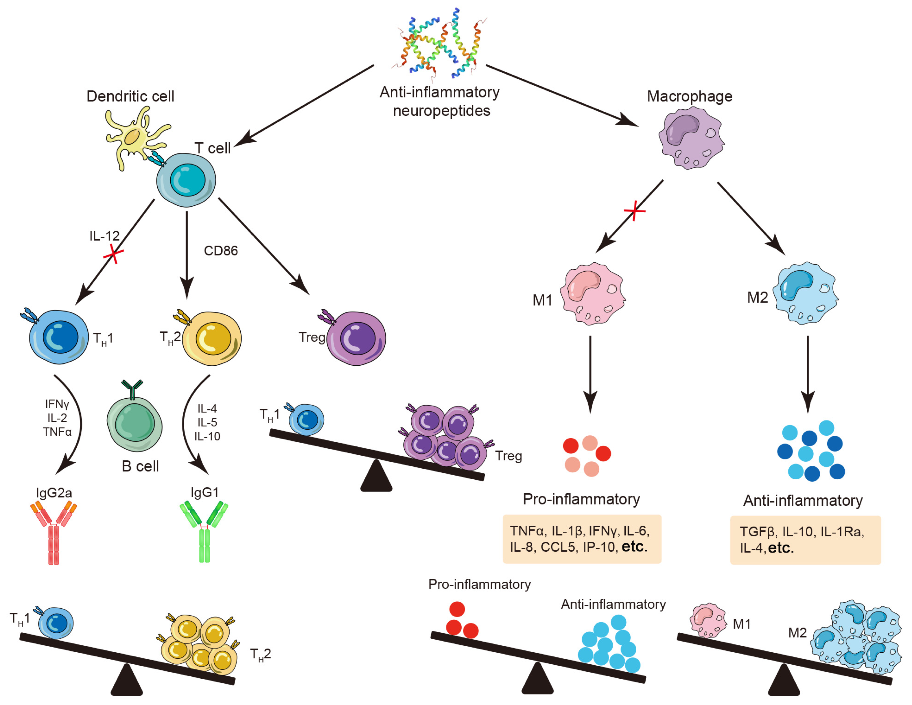 Molecules 30 00568 g002