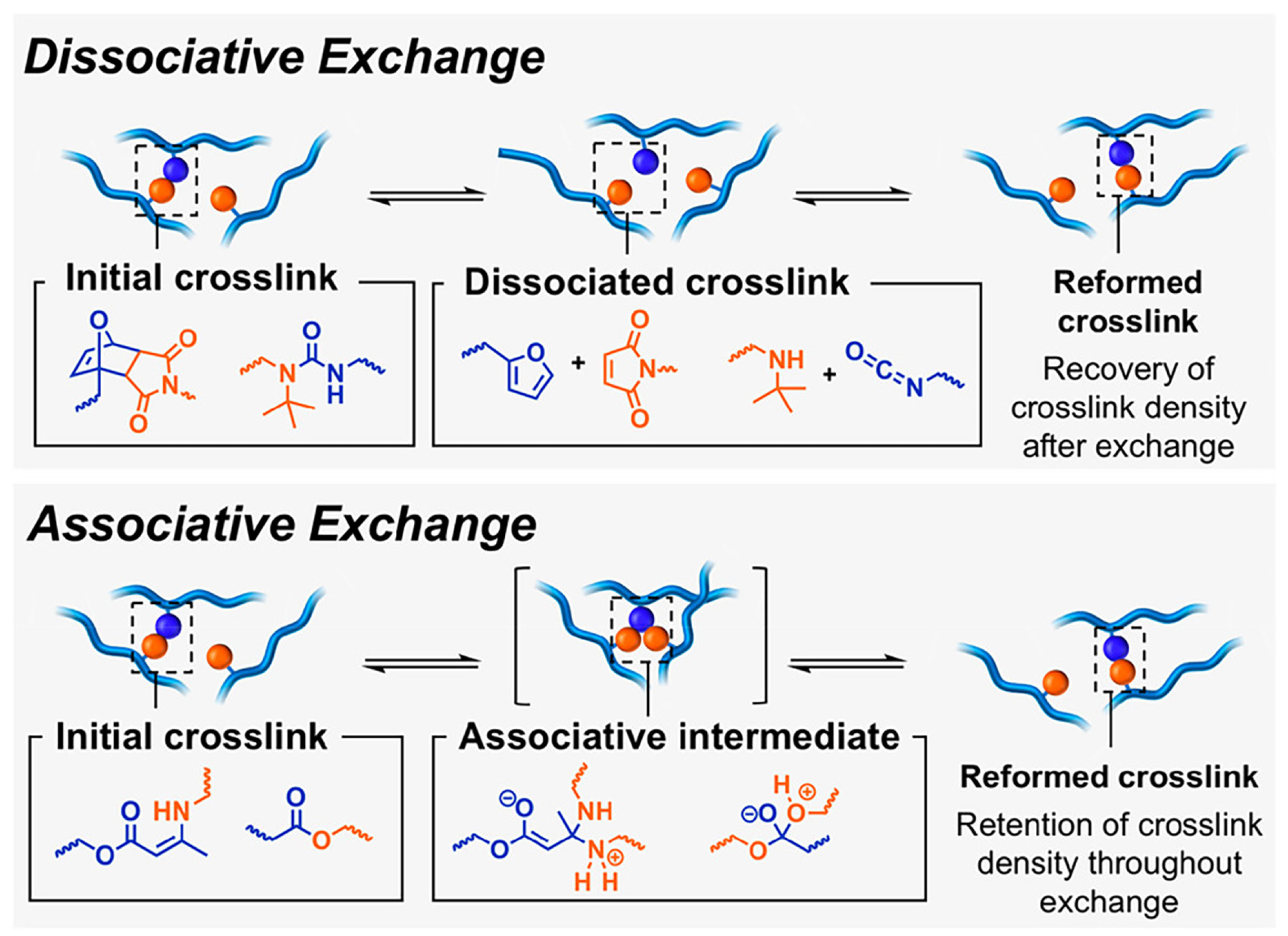 Molecules 30 00569 g002