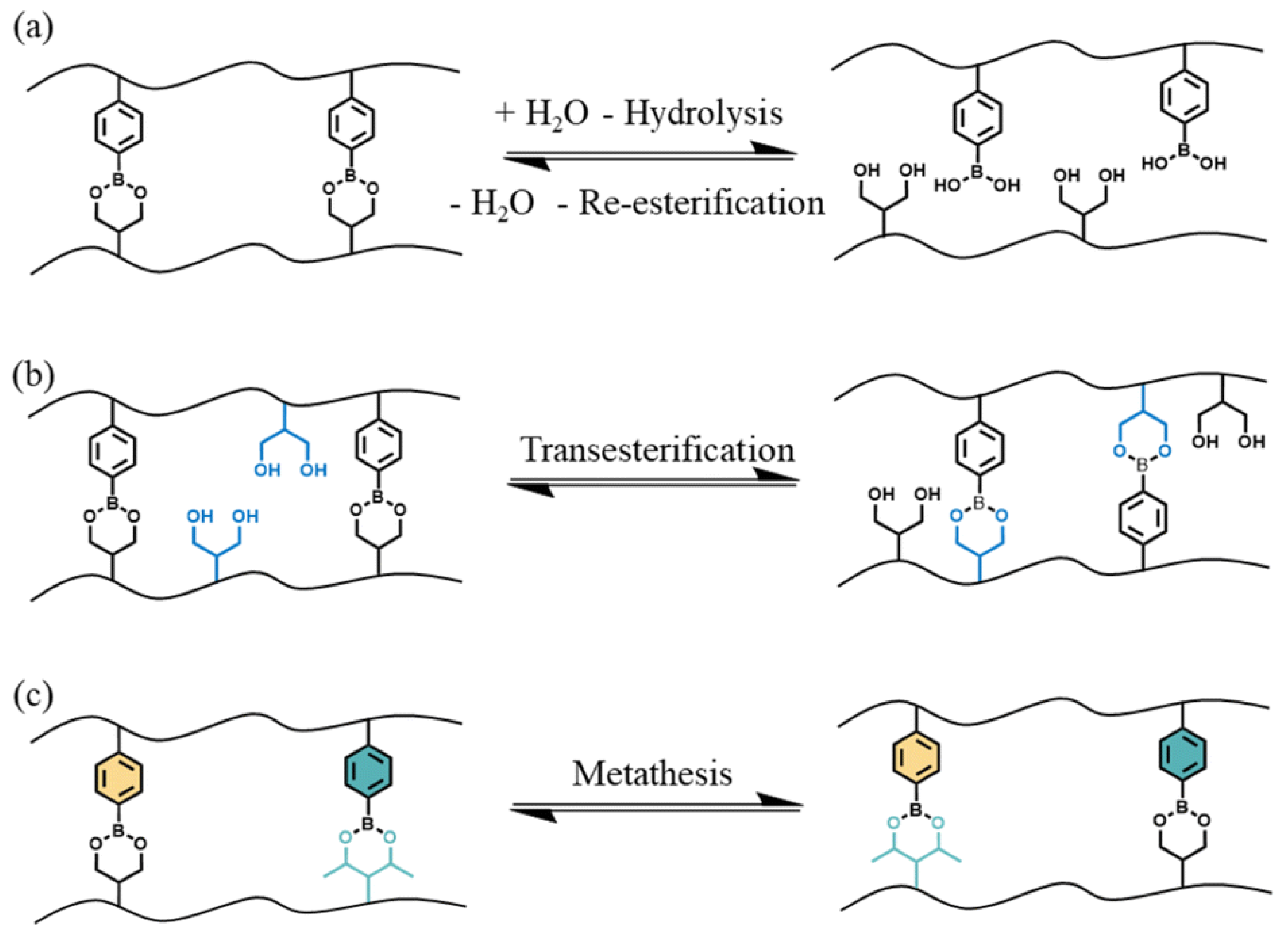 Molecules 30 00569 g005
