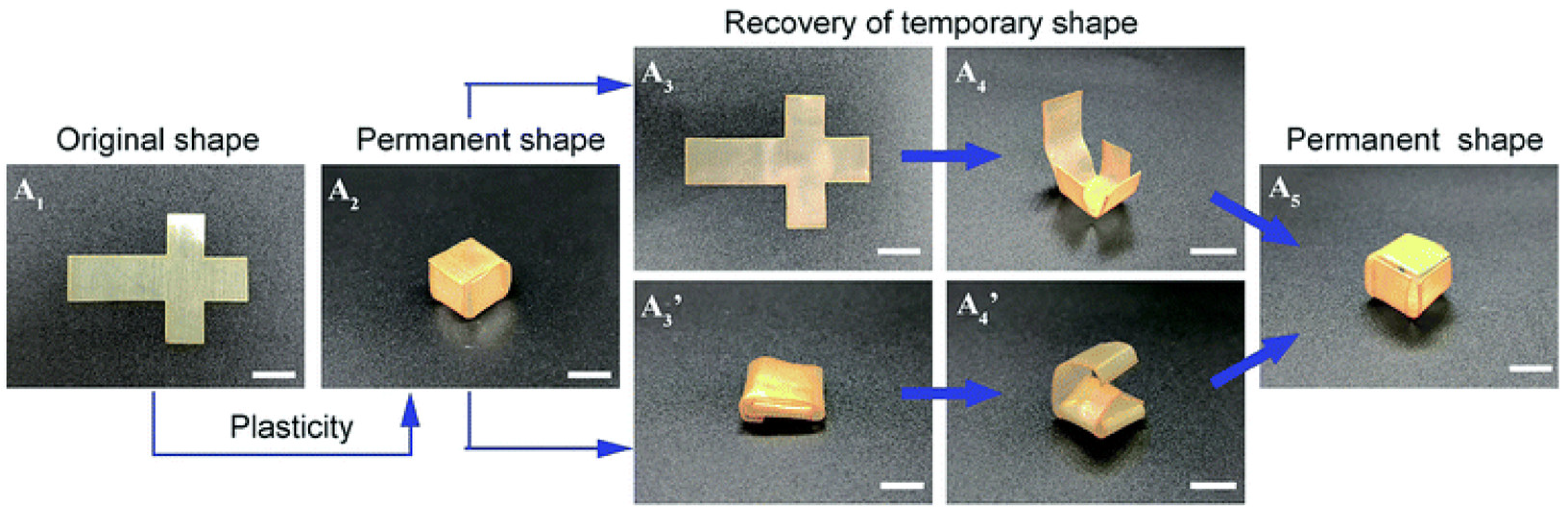 Molecules 30 00569 g009