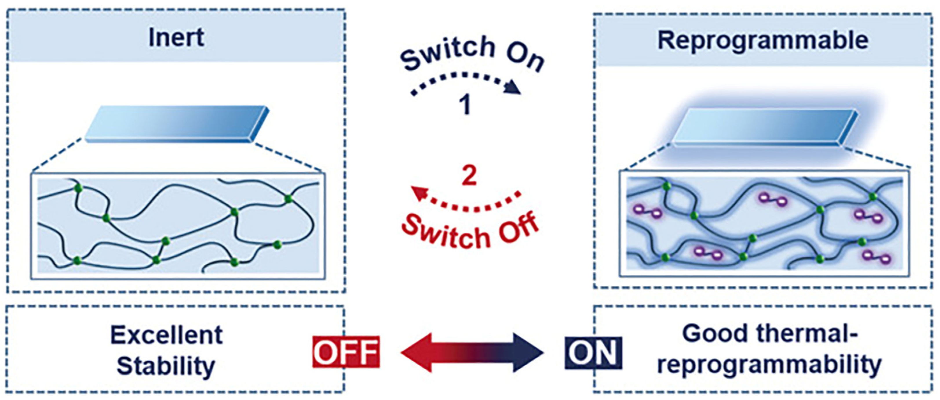 Molecules 30 00569 g010