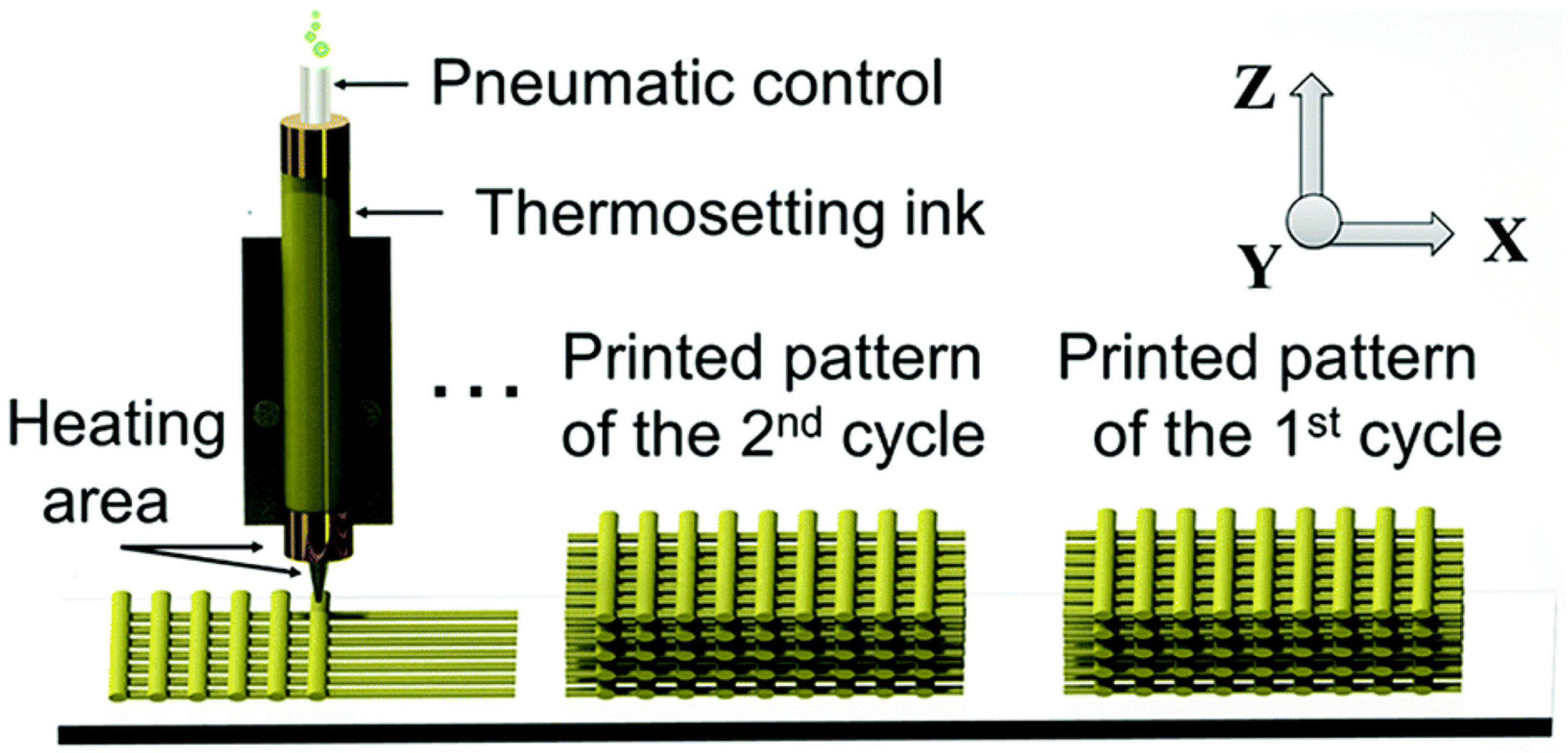 Molecules 30 00569 g011