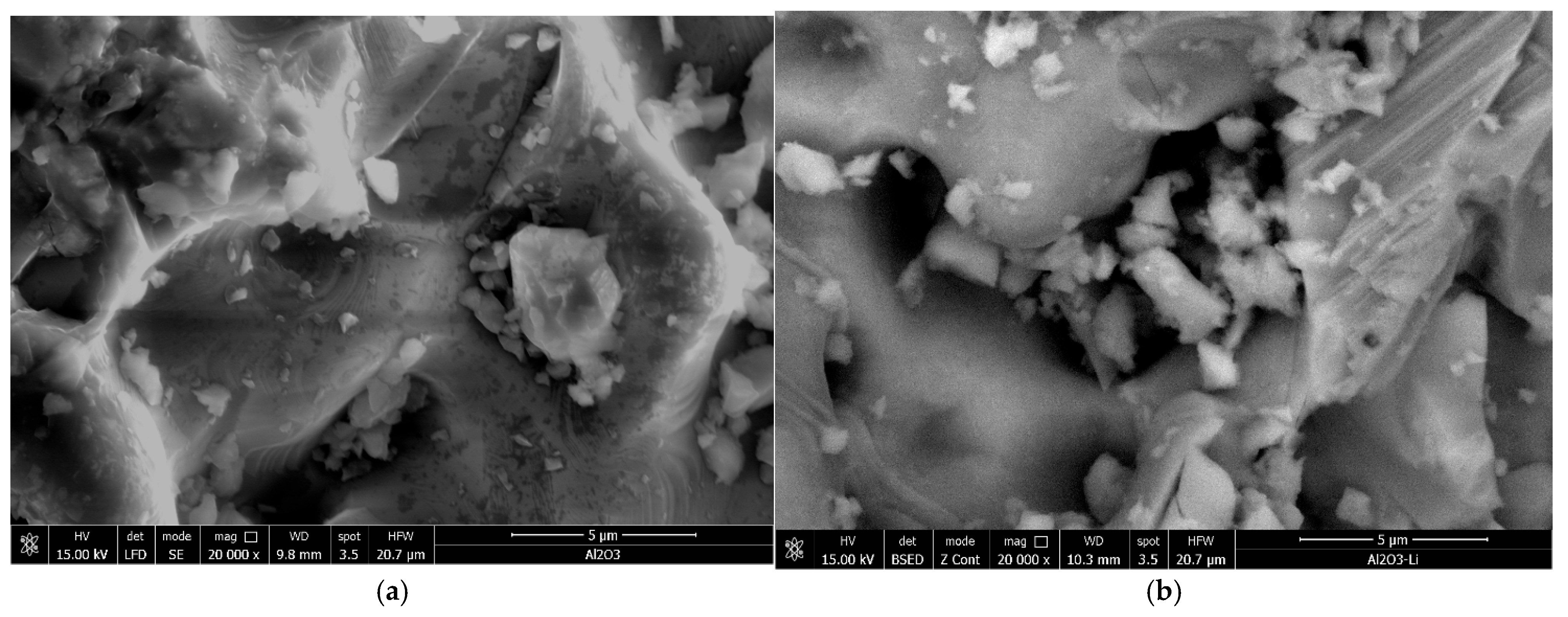 Molecules 30 00577 g001