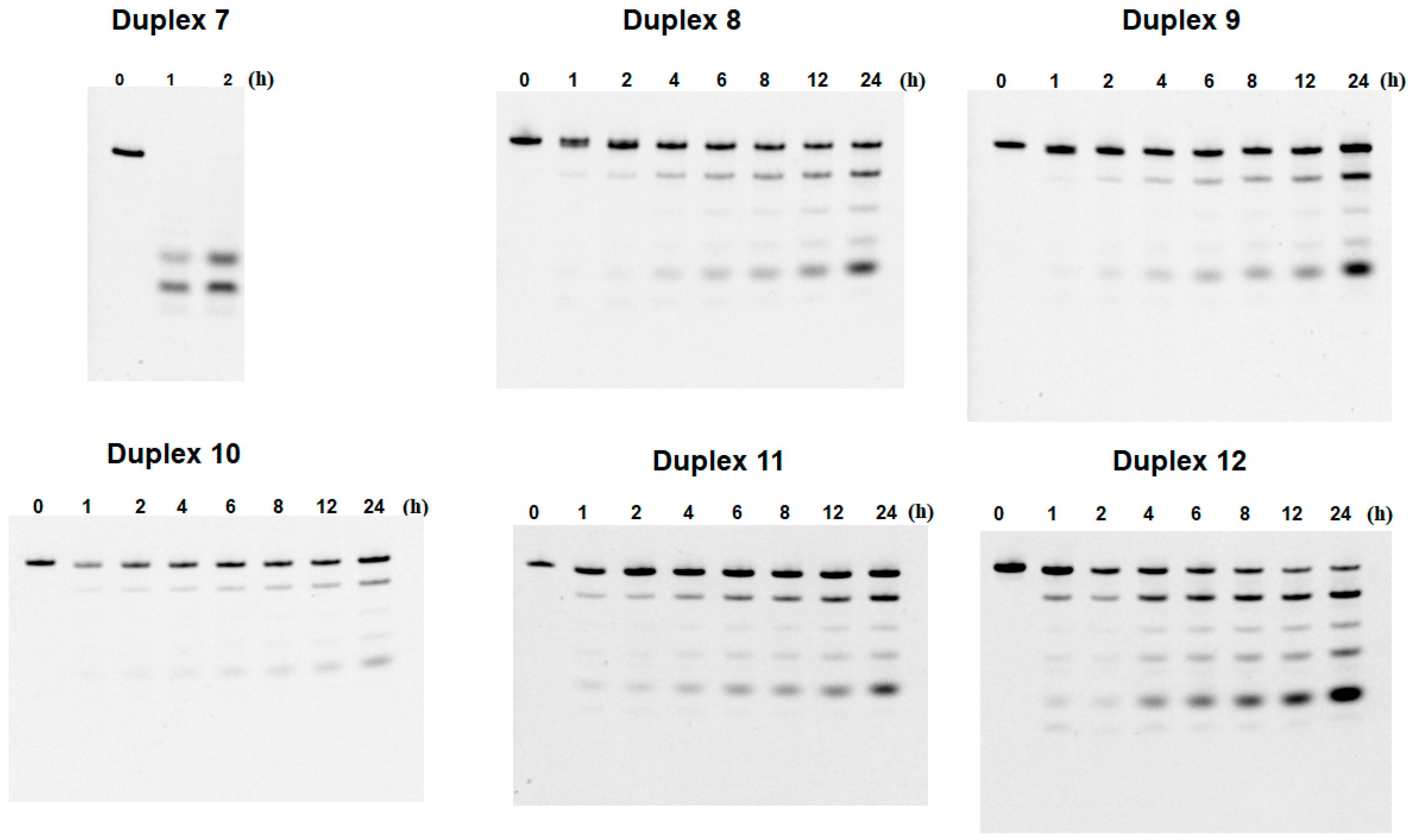 Molecules 30 00581 g004