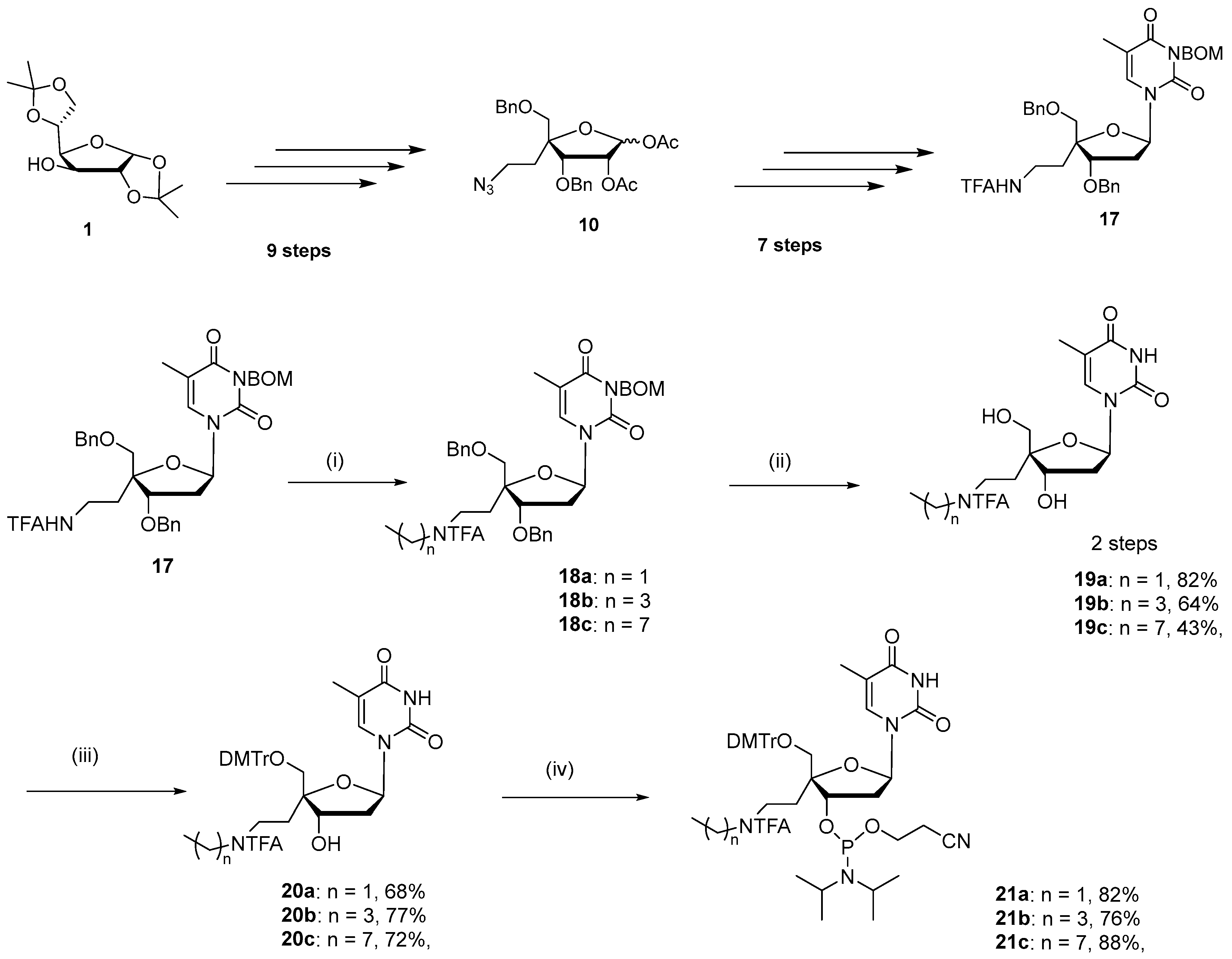 Molecules 30 00581 sch001
