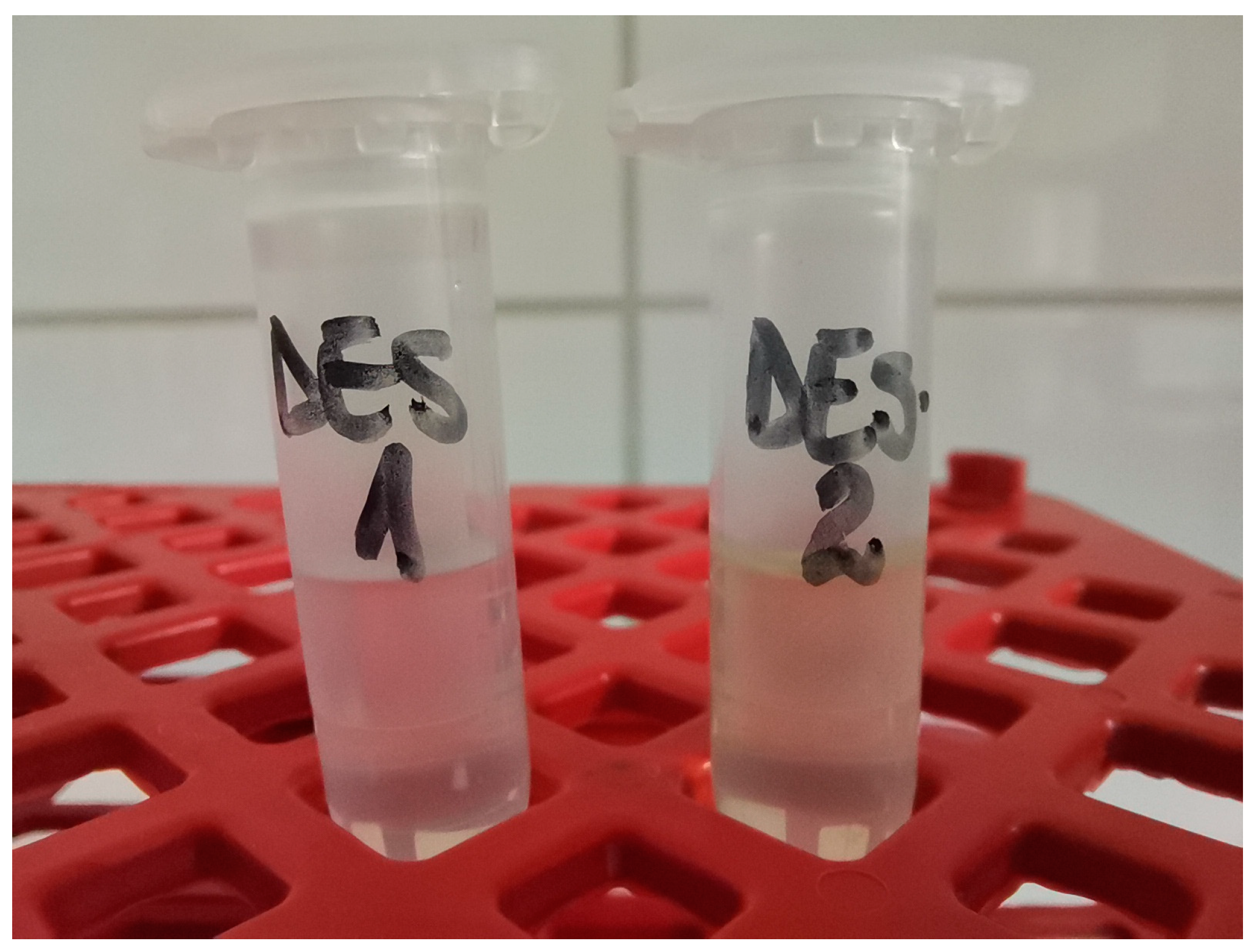 Molecules 30 00591 g008